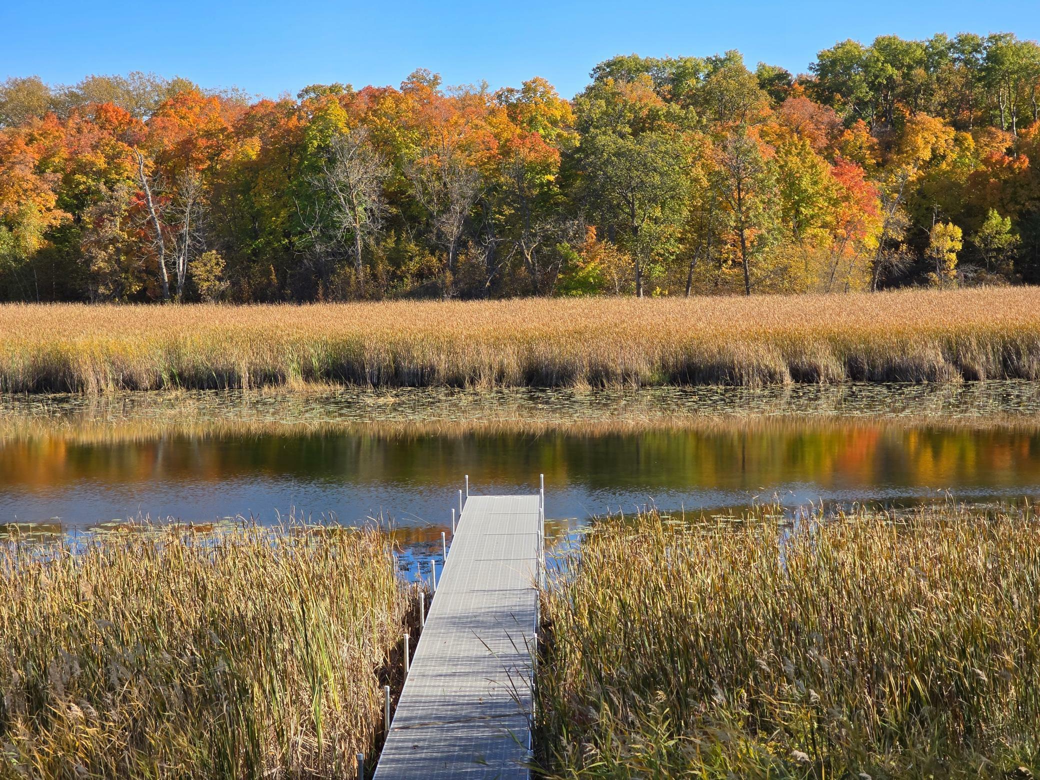 Property Photo:  Tract L Blybergs Lane  MN 56572 