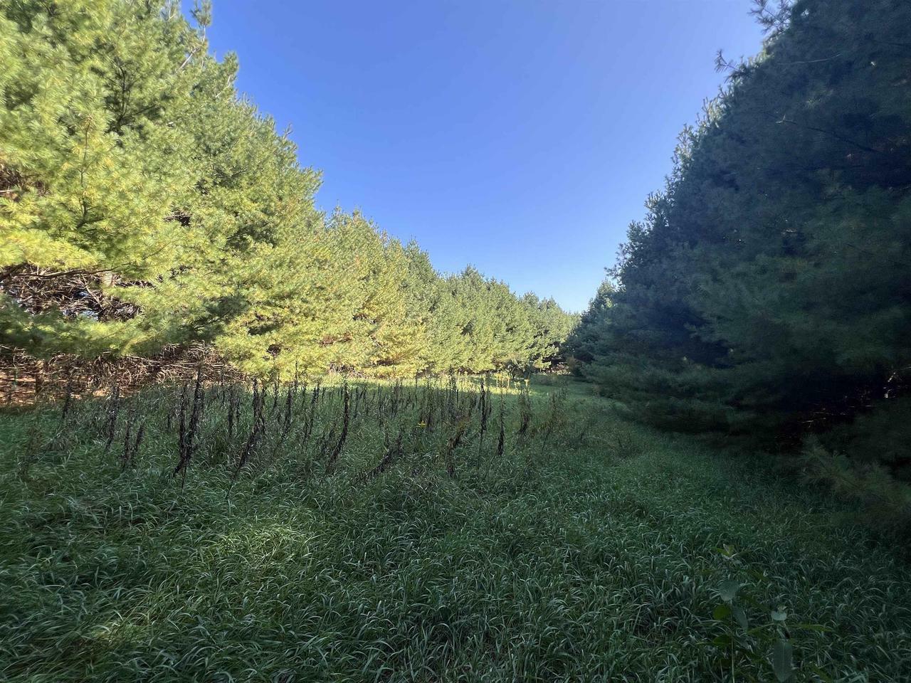 Property Photo:  40 Acres Lj Lane  WI 54634 