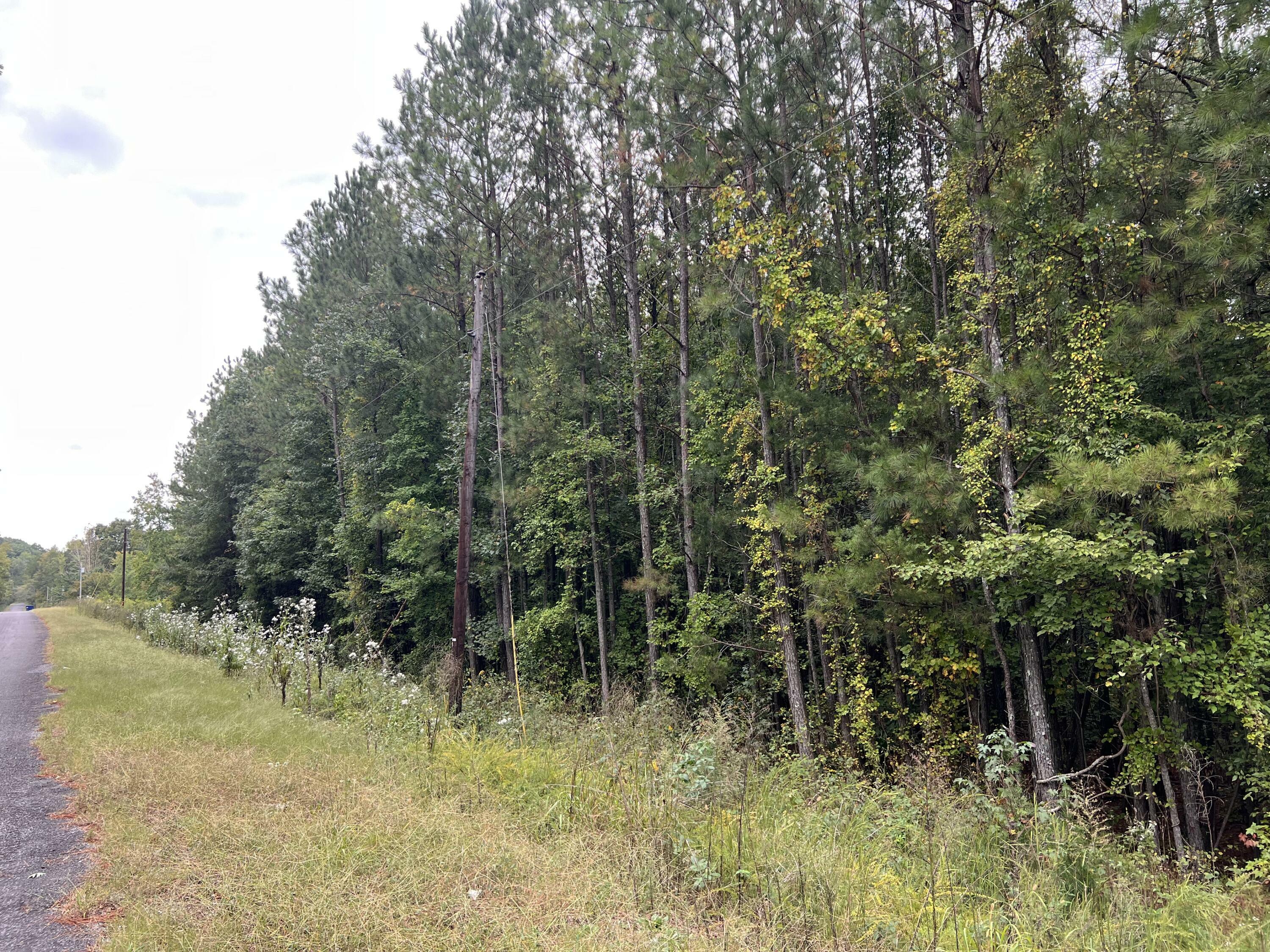 Property Photo:  0 Alabama State Route 40  AL 35989 