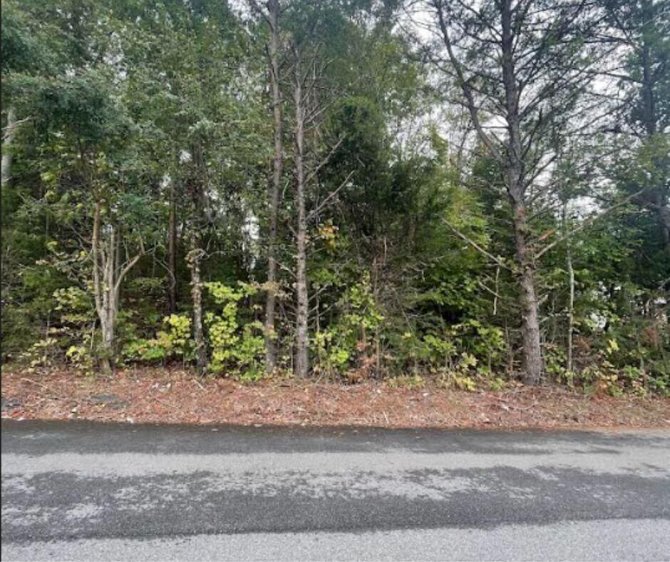 Property Photo:  316 Hayter Drive  TN 37813 