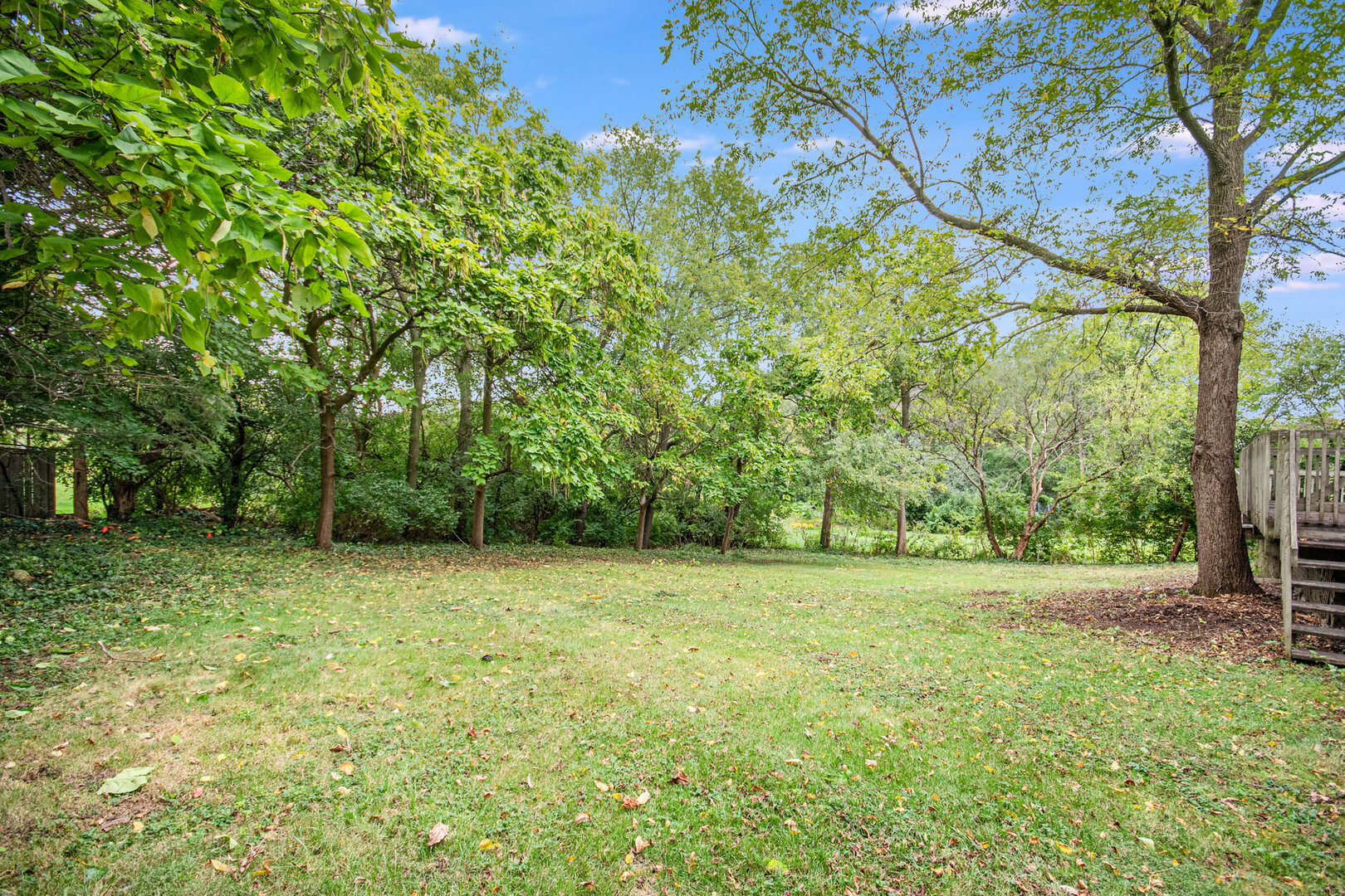 Property Photo:  1317 E Gartner Road  IL 60540 