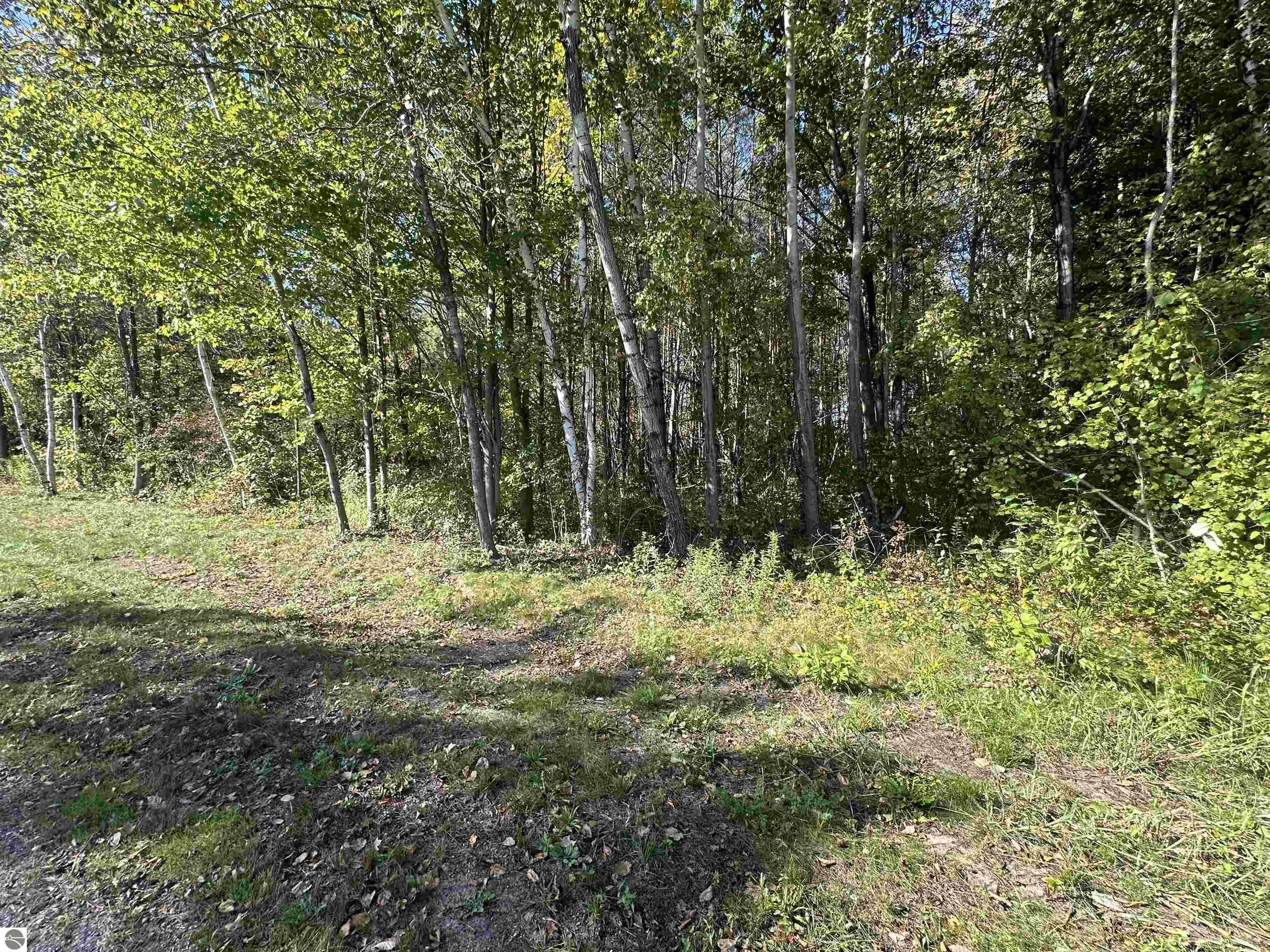 Lot 40 Witbeck Drive  Clare MI 48617 photo