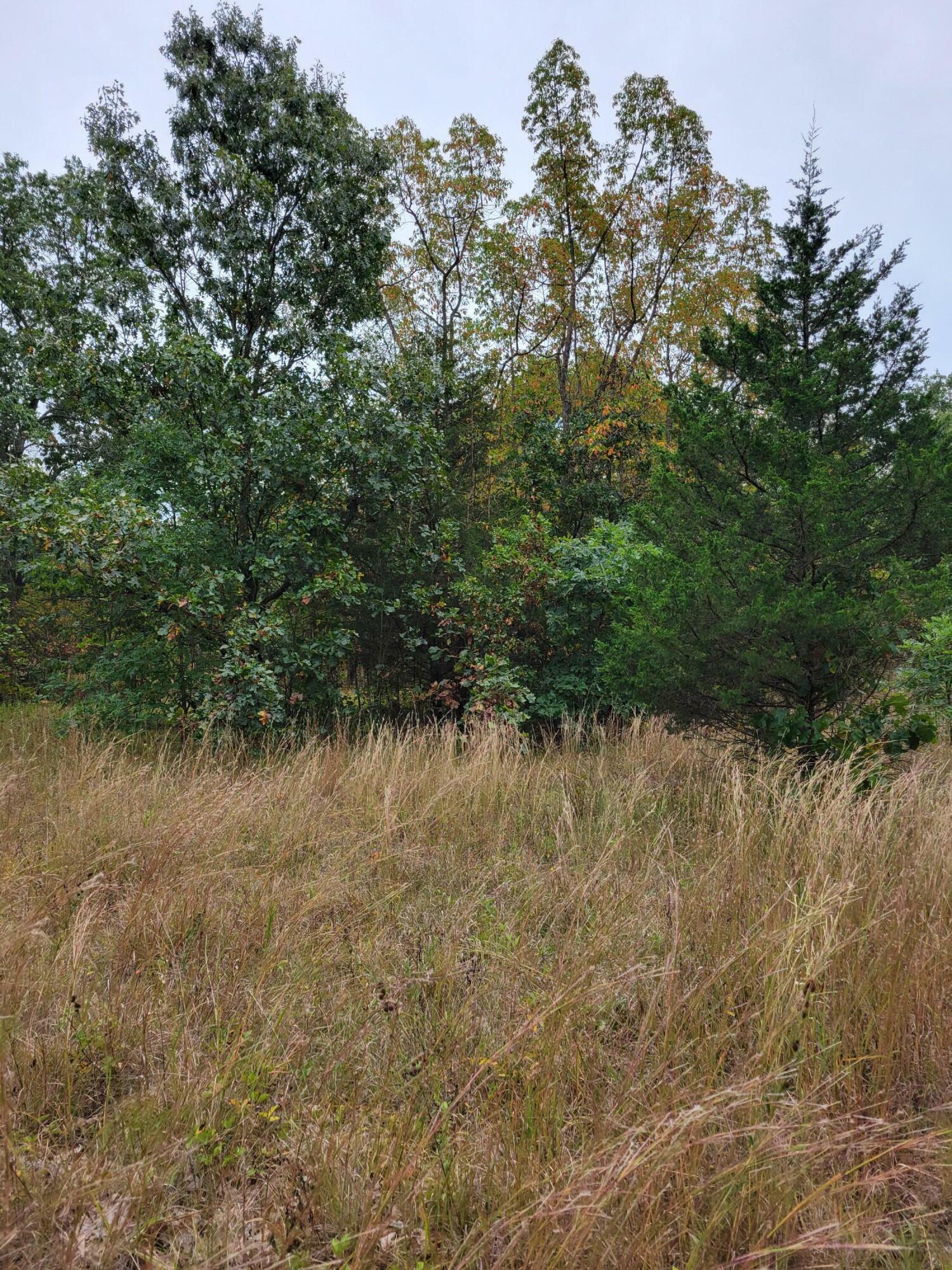 Property Photo:  Lot 2 N 100  IN 46349 