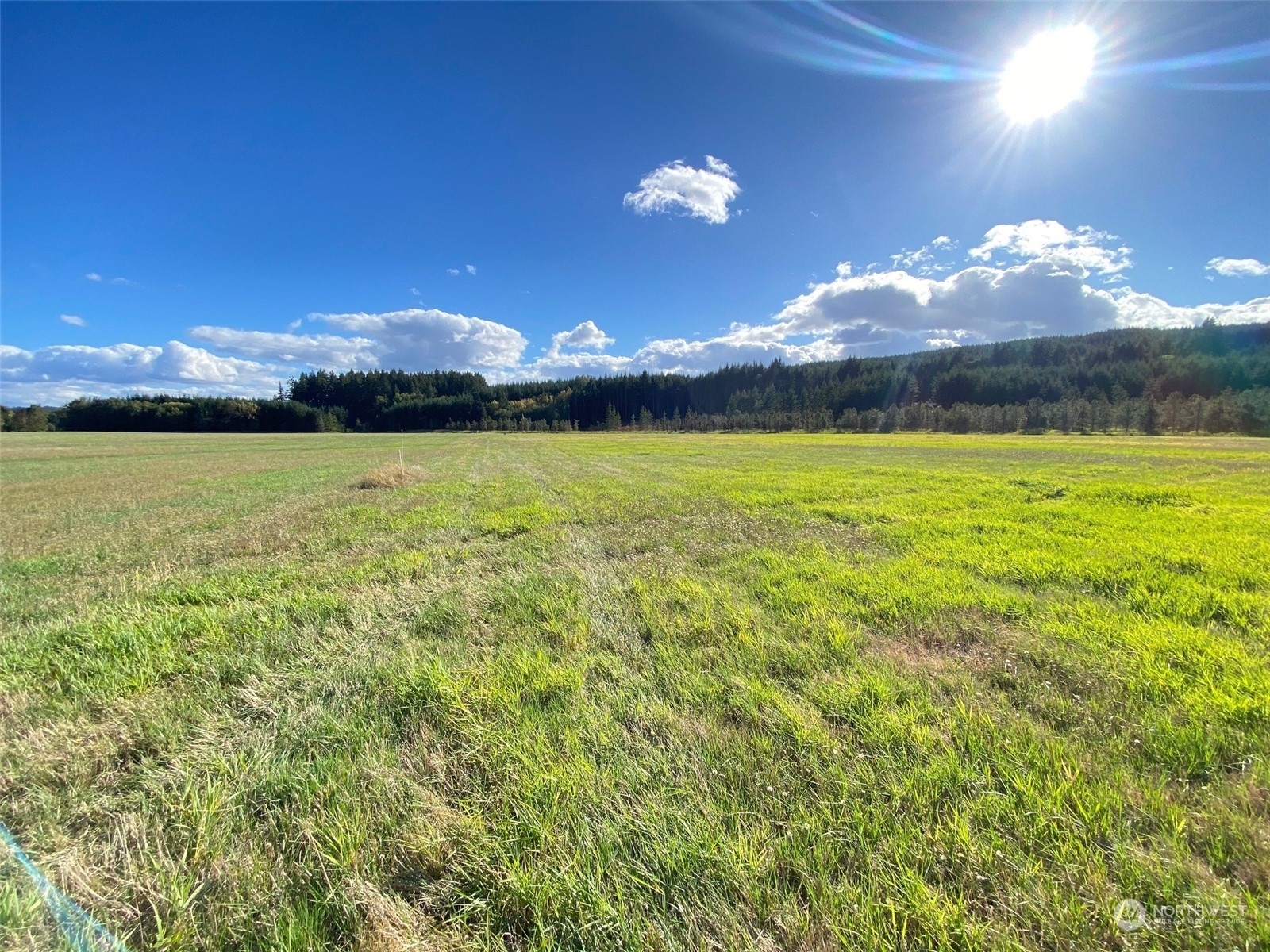 Property Photo:  0 Bunker Creek Road Lot A  WA 98532 