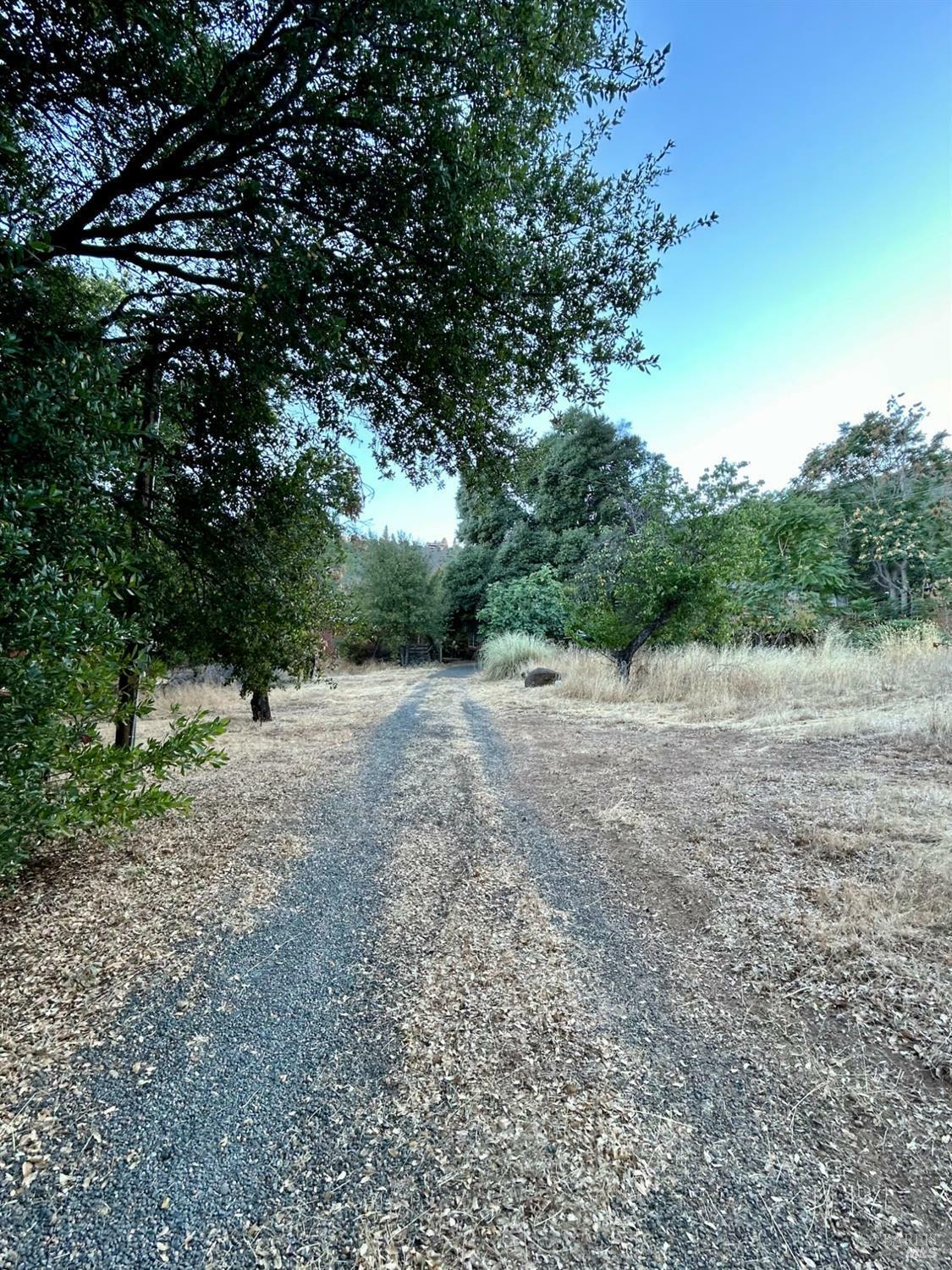 Property Photo:  8987 Soda Bay Road  CA 95451 