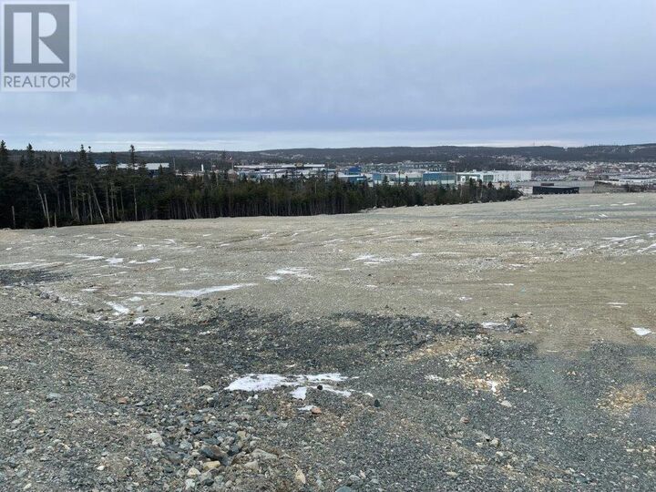 Property Photo:  20 Edmonds Place  NL A1B 0C7 