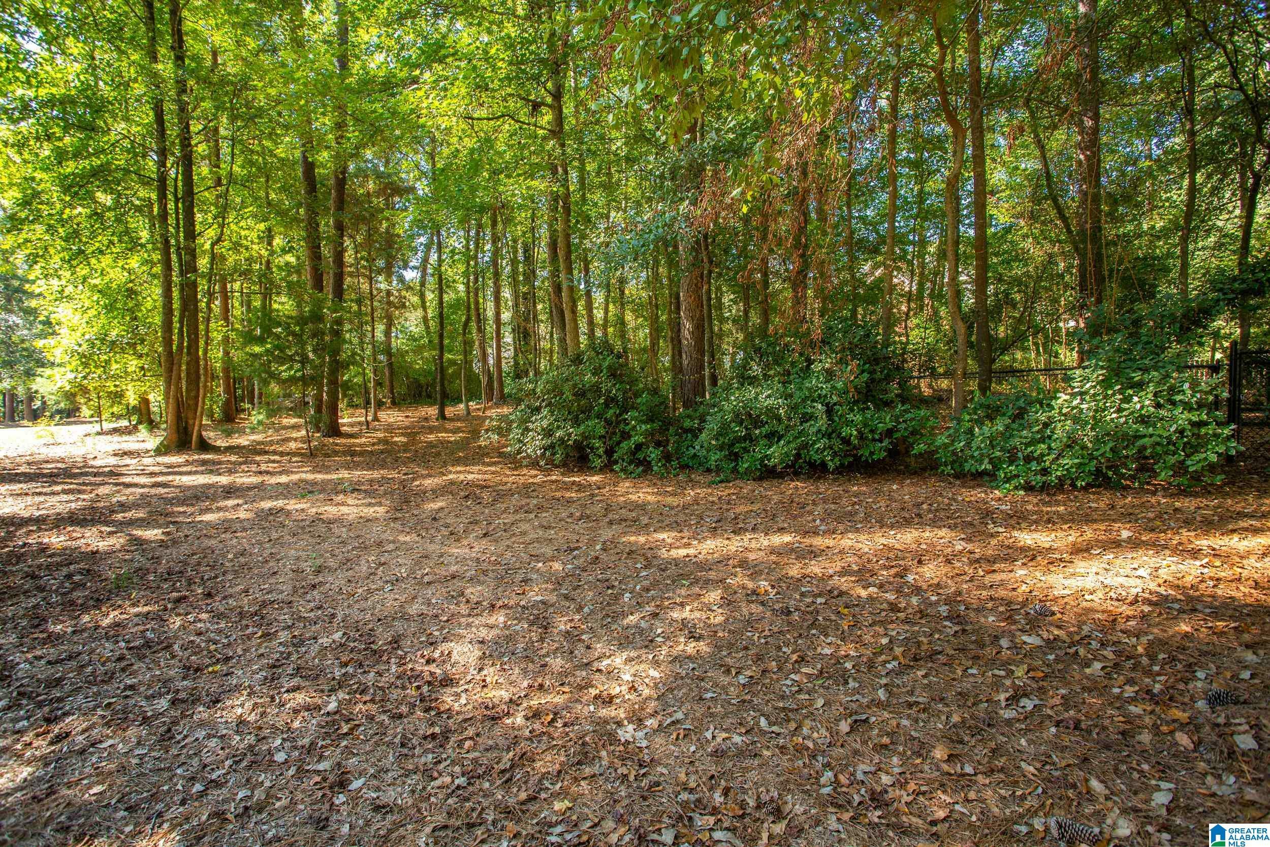 Property Photo:  19 Timber Trace  AL 36203 