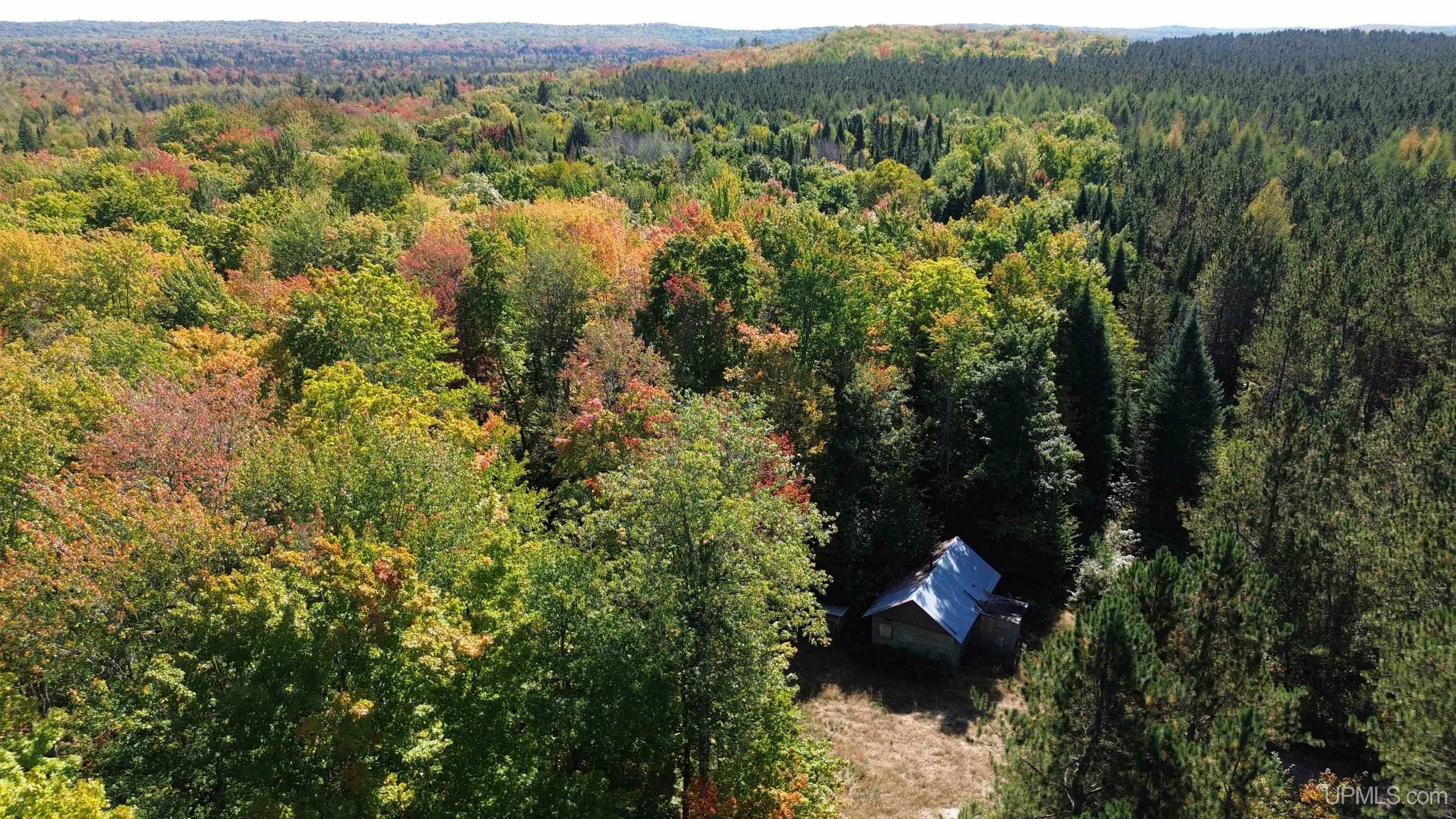 Property Photo:  Off Usfs #2440 Trail  MI 49895 