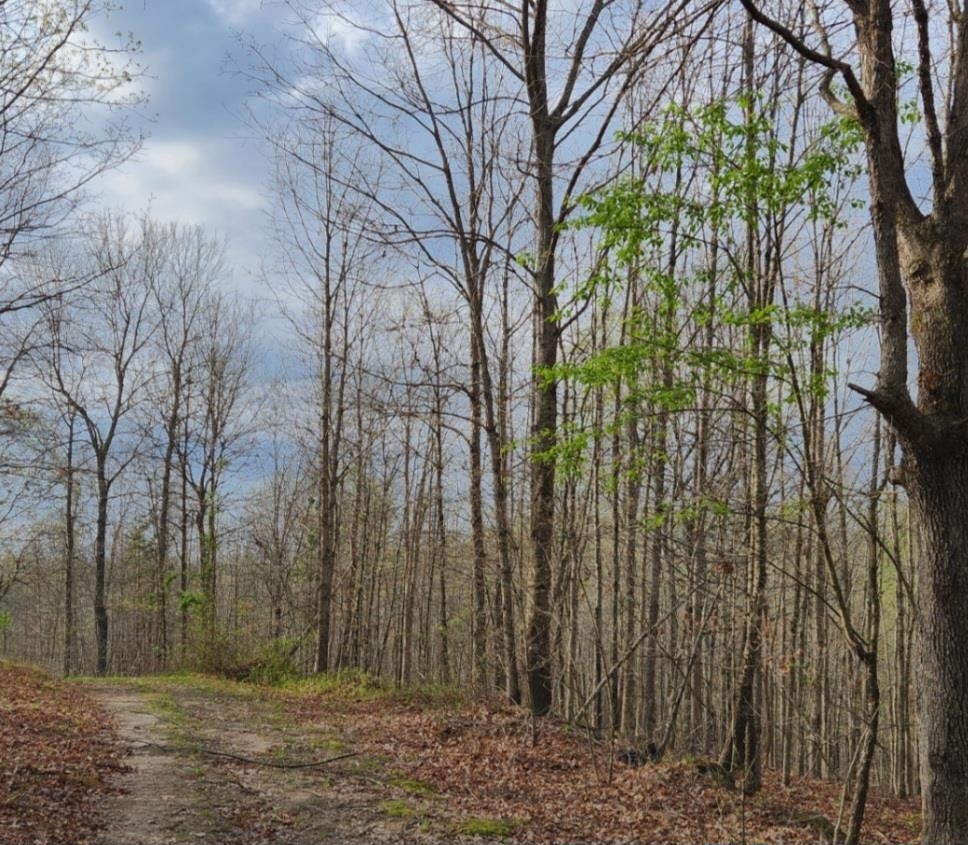 Property Photo:  00 Kiser Fork  KY 41164 