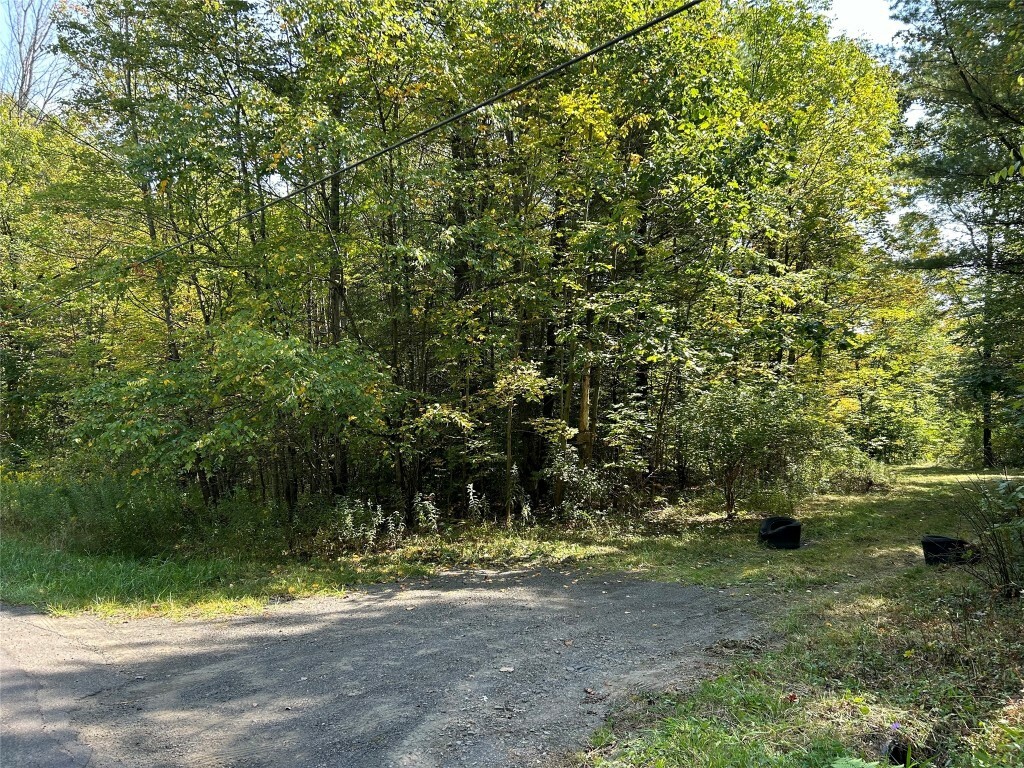 Property Photo:  200 Ridge Road  NY 13787 