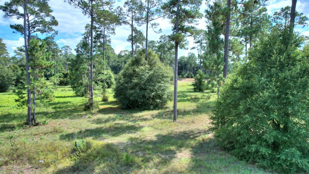 Property Photo:  Lot 48 Blk A - Swann Dr.  GA 31015 