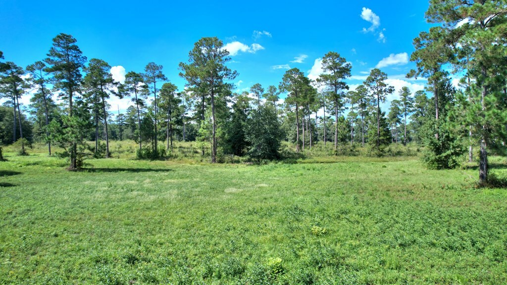 Property Photo:  Lot 11 Blk B - Swann Dr  GA 31015 