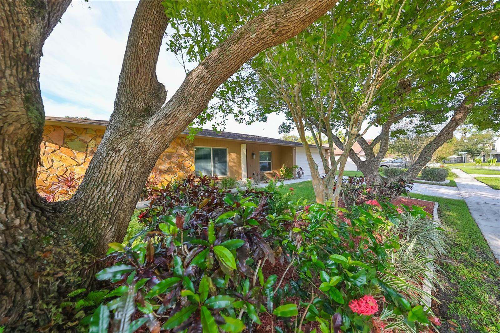 Property Photo:  16103 Pebblebrook Drive  FL 33624 