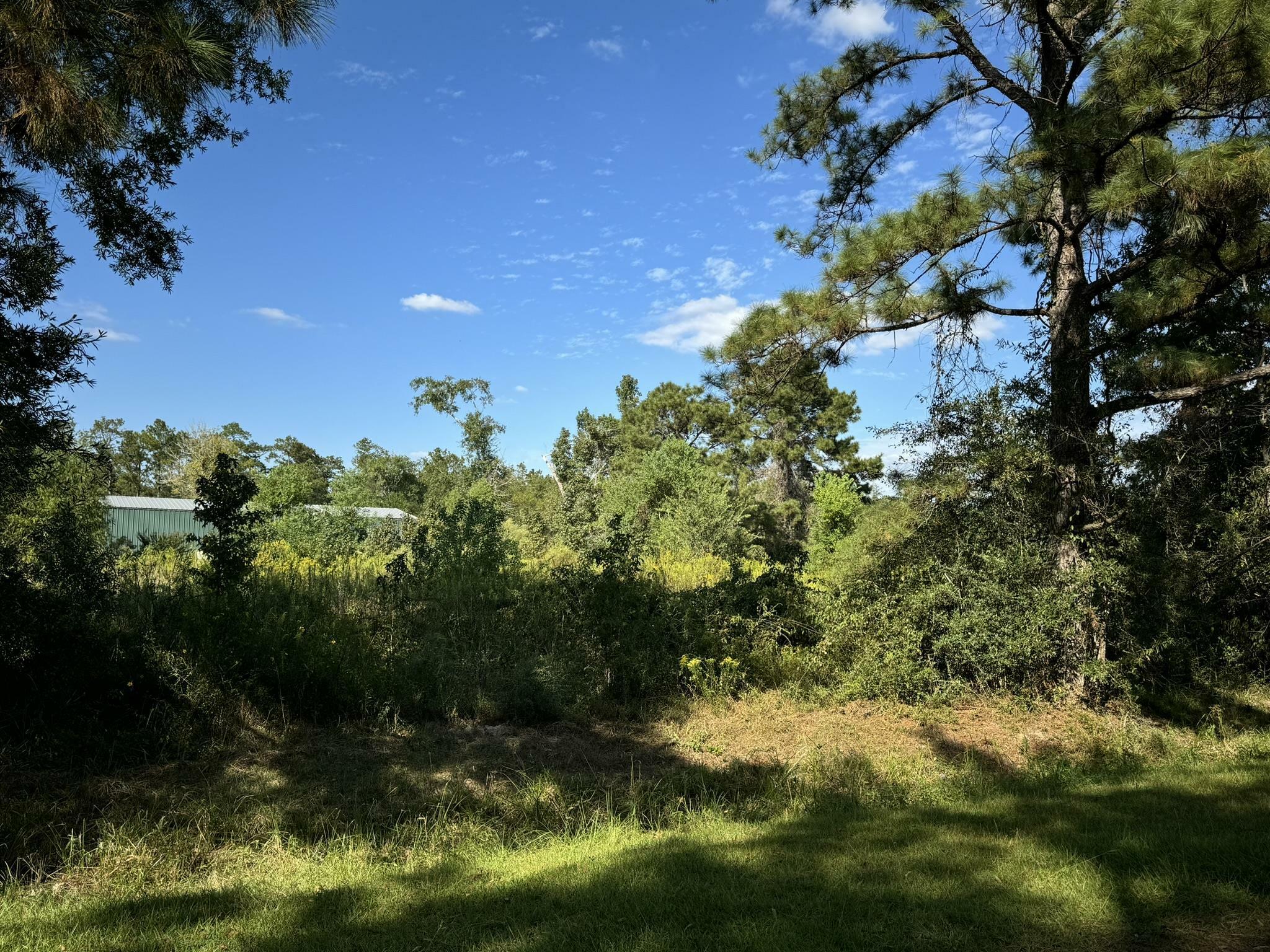 Property Photo:  Lot 76 Pine Park Blvd  TX 77632 