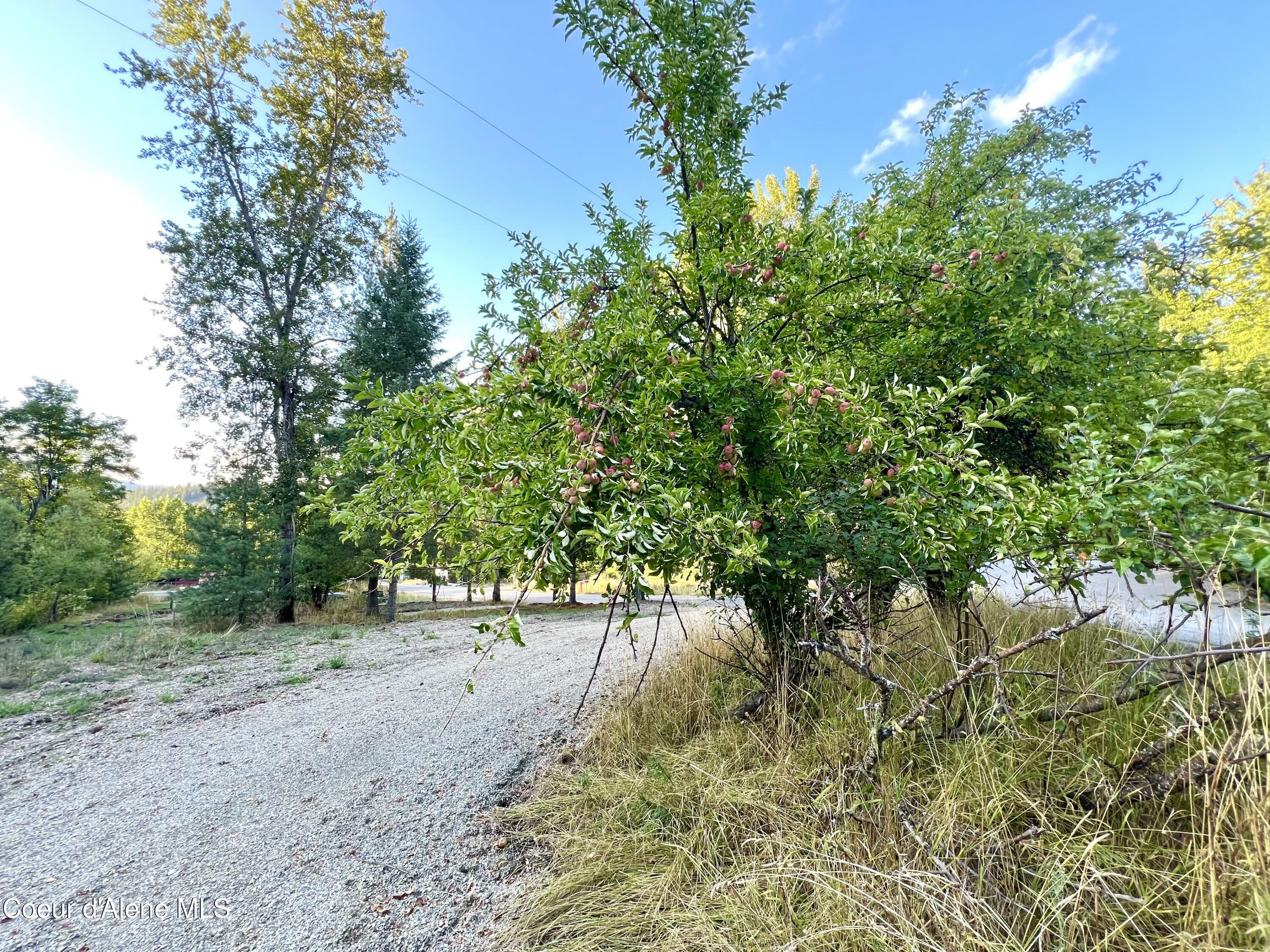 Property Photo:  Lot 3 Back St  ID 83868 