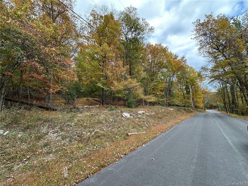 Property Photo:  Oak Ridge Road  NY 12428 