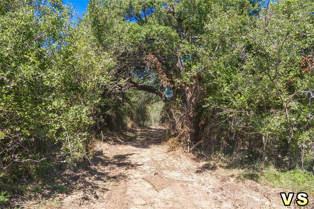 Property Photo:  Lot 4 County Road 489  TX 76857 