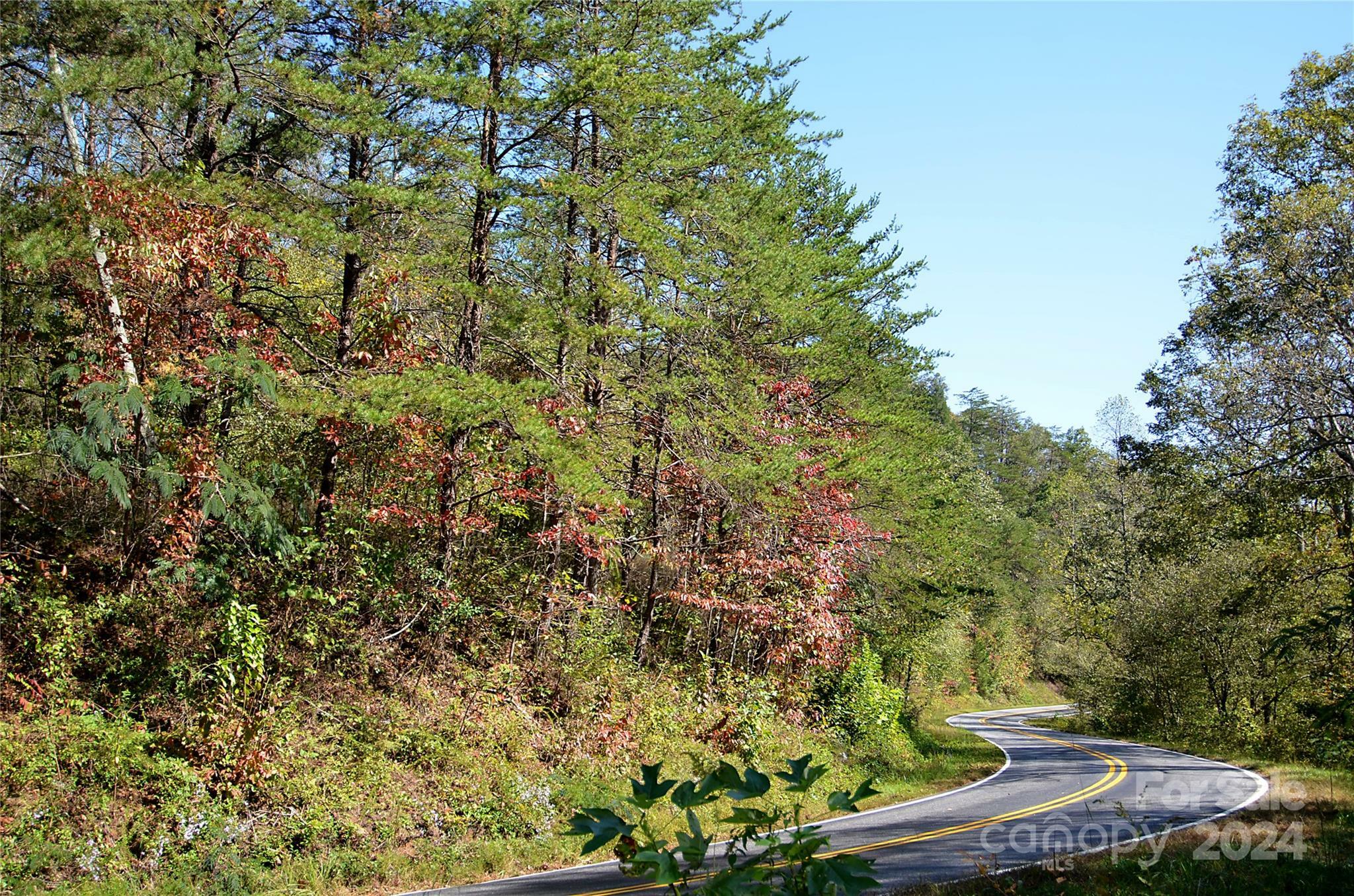 Property Photo:  00 Painters Gap Road  NC 28167 