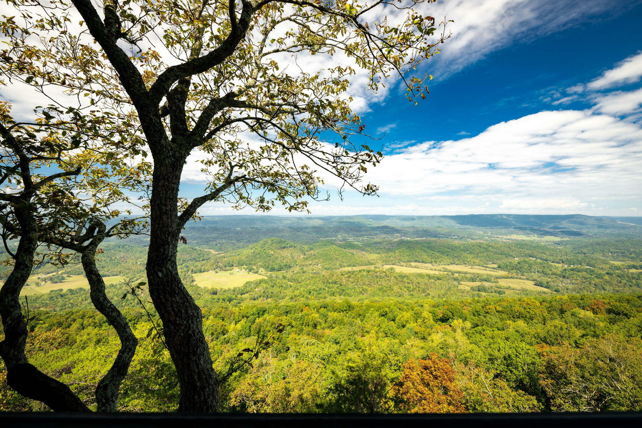 Property Photo:  8761 Scenic Highway  GA 30750 