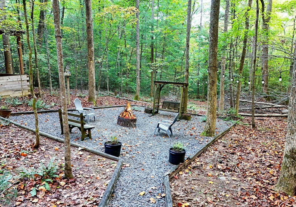 Property Photo:  151 Hatchet Trail  GA 30522 