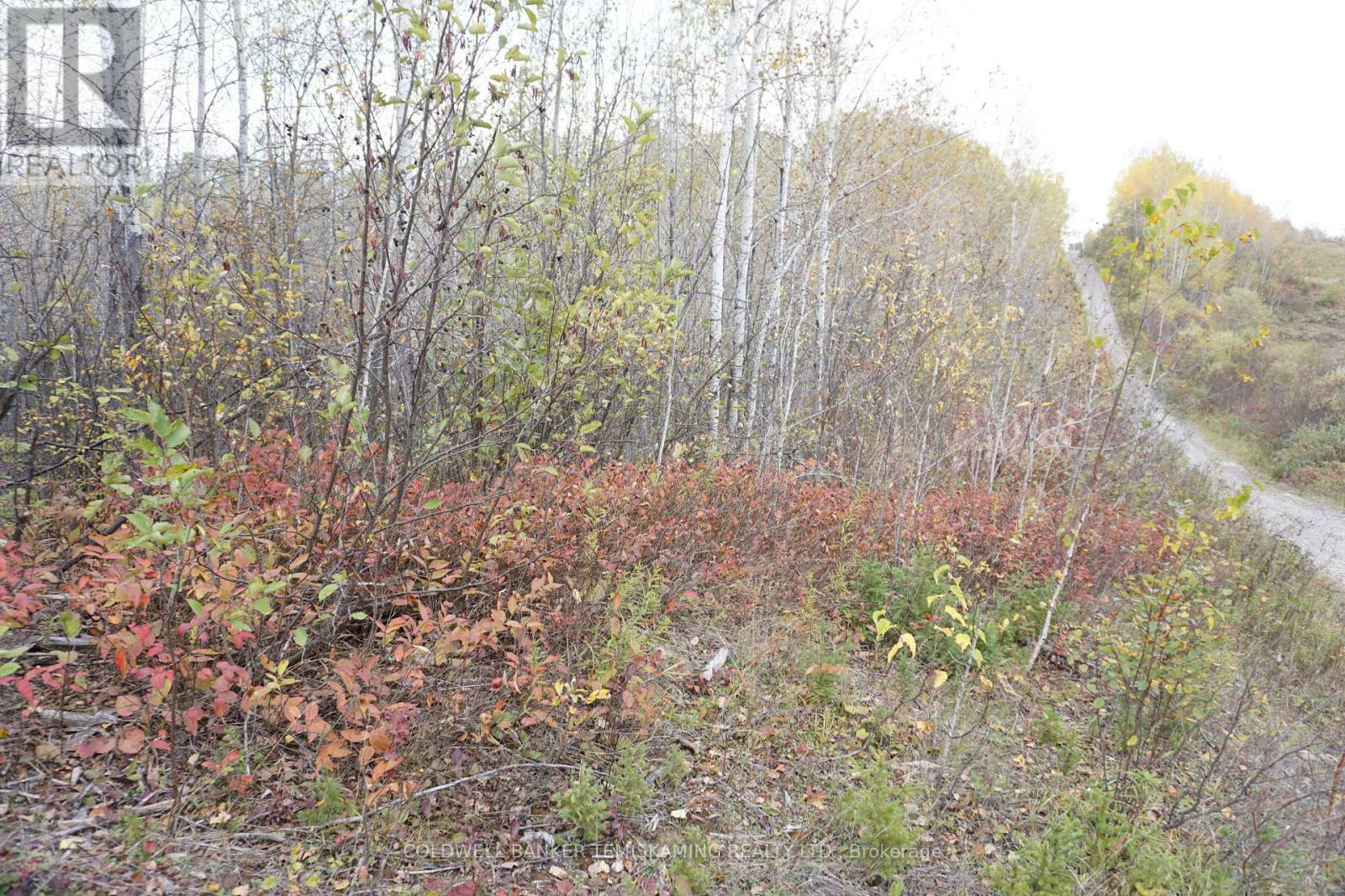 Property Photo: Lot 1A Campbells Road ON P0J 1B0