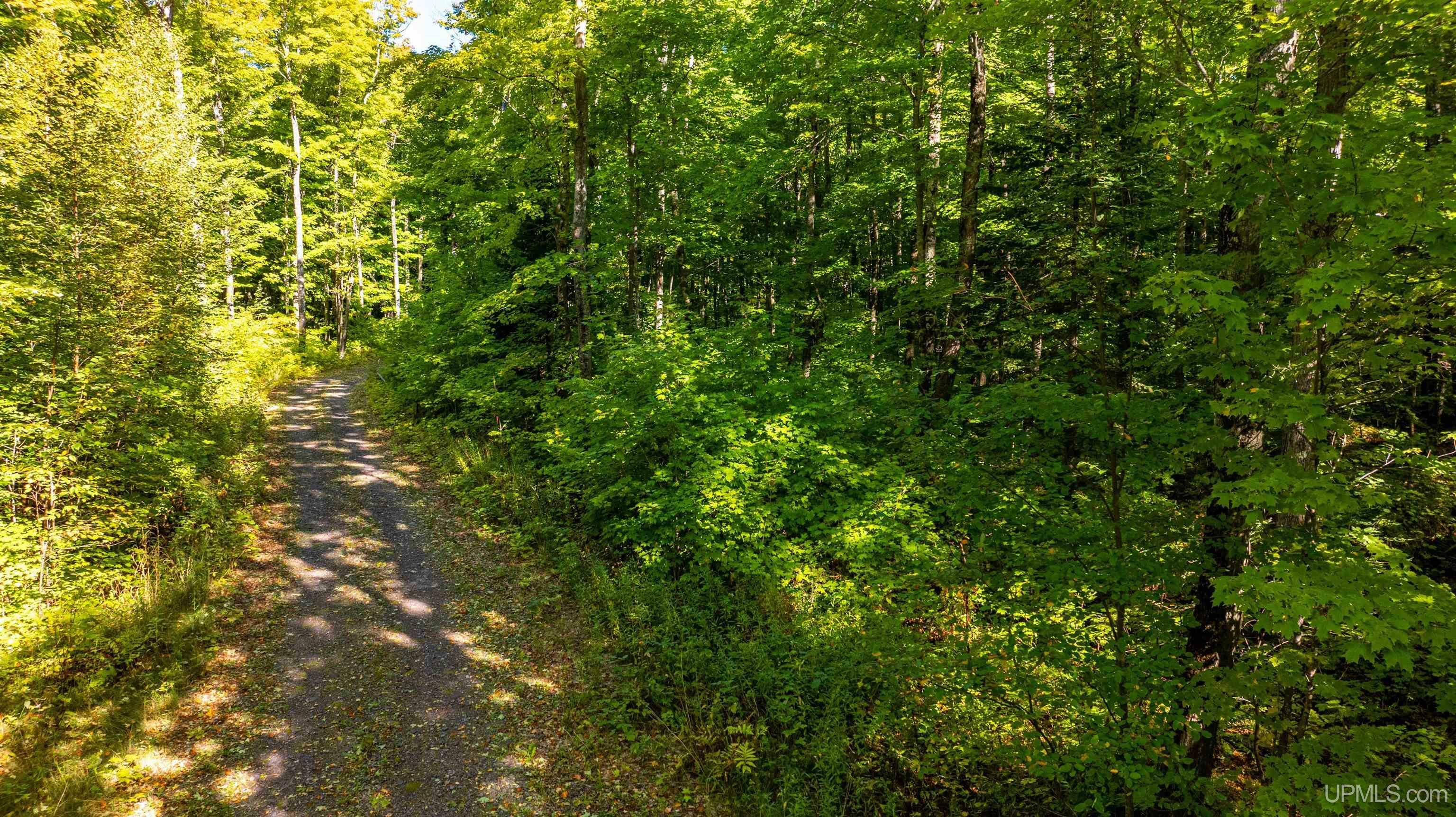 Unit 13 Redridge Creek Road  Atlantic Mine MI 49905 photo