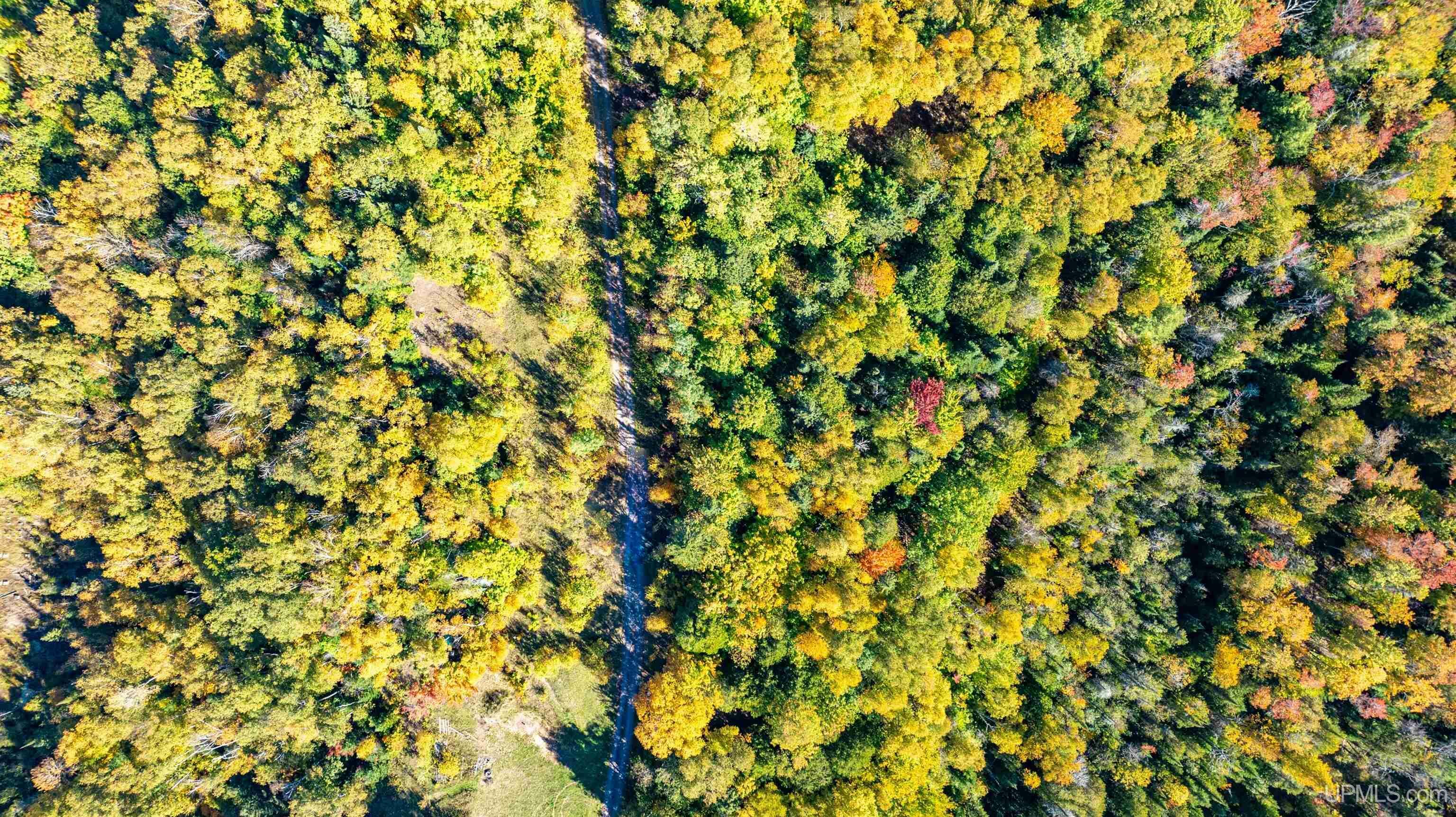 Property Photo: Unit 4 Redridge Creek Road MI 49905