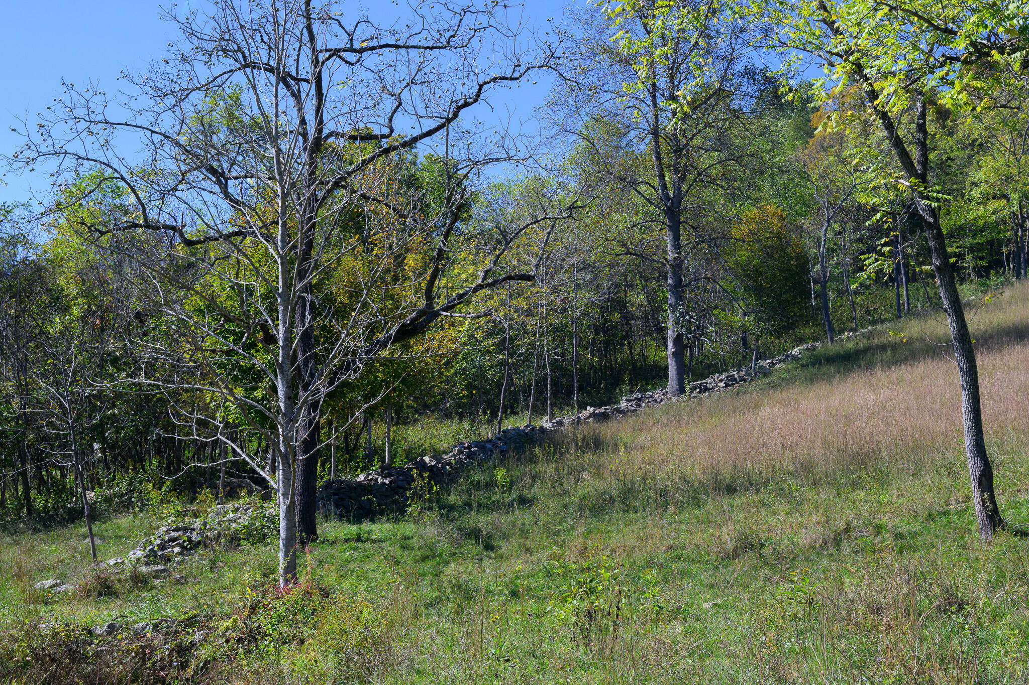 Property Photo:  518 Lacey Holw  WV 24910 