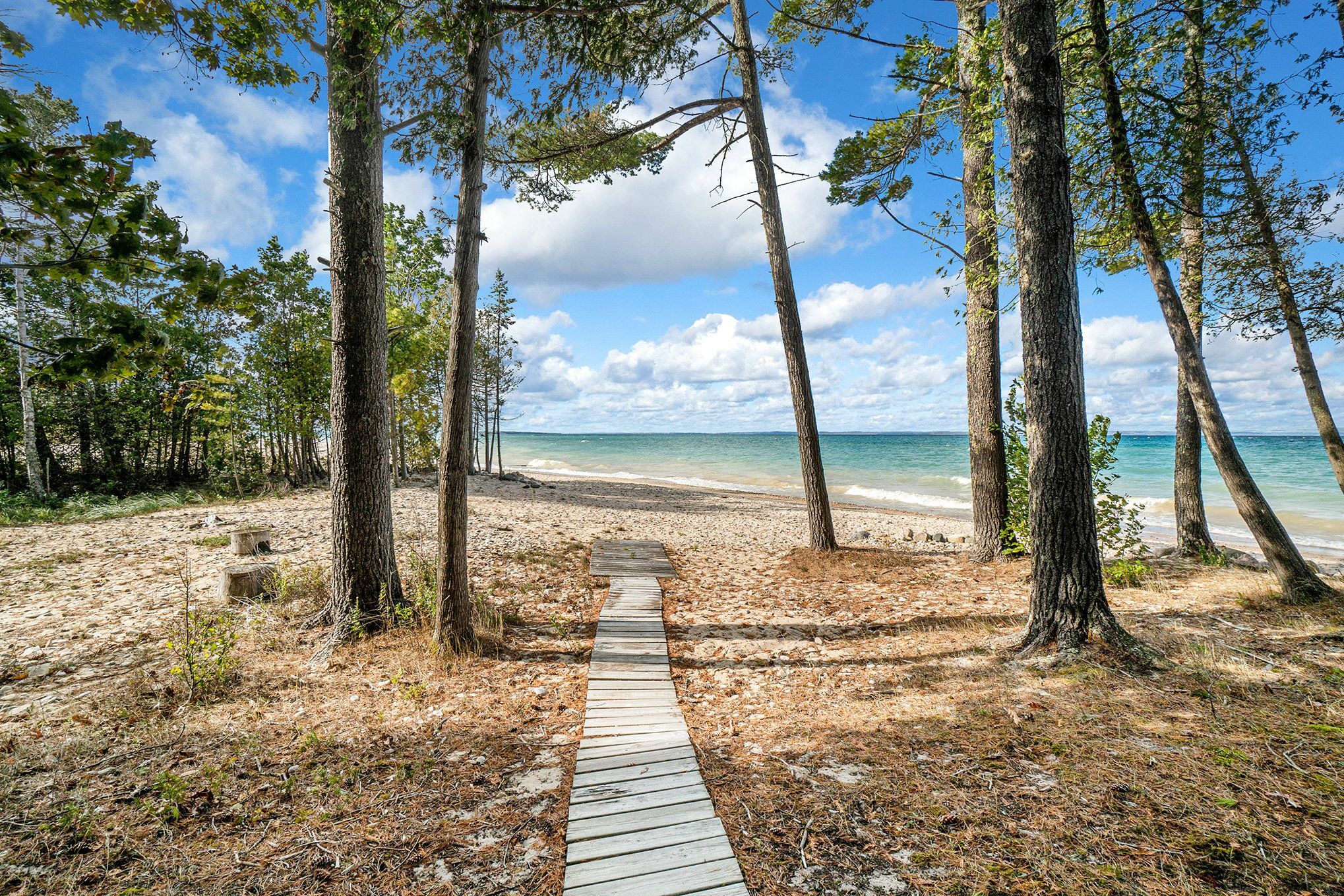 Property Photo:  3017 Forest Beach Trail  MI 49648 