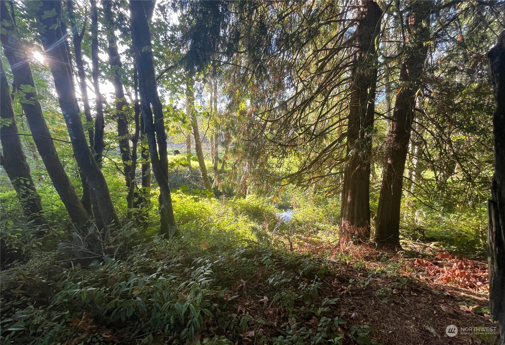 Property Photo: 159 Hendrickson Road WA 98593