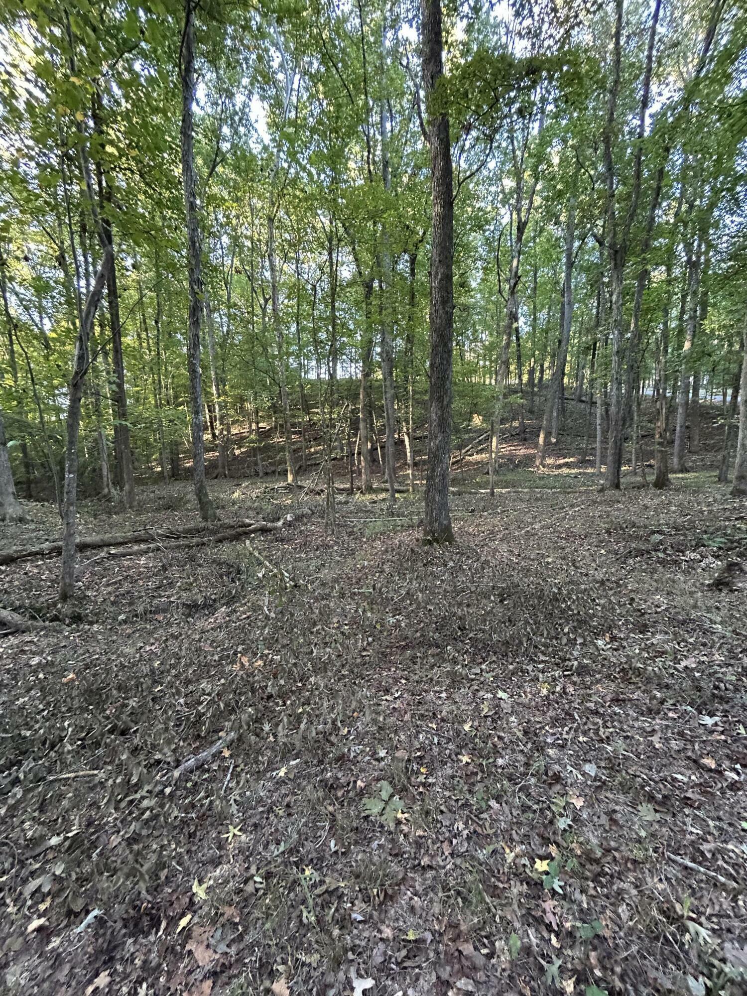 Property Photo:  00 Westbrook Drive NW  TN 37312 