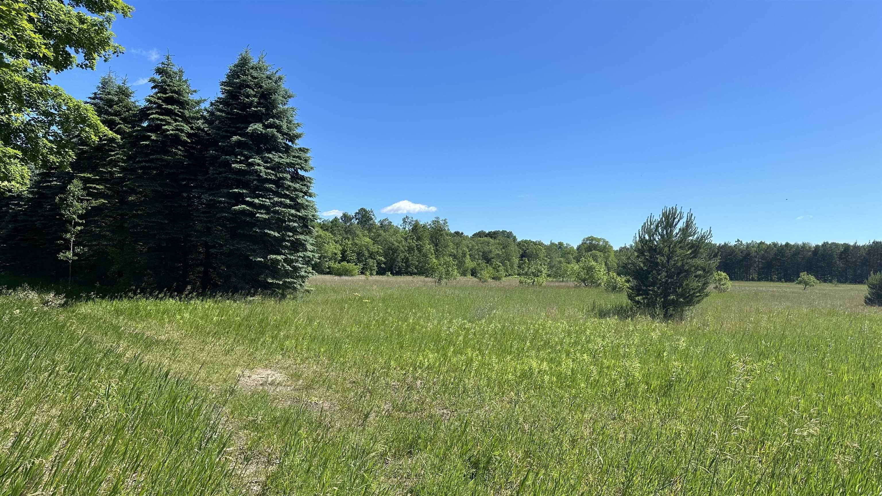 Property Photo:  Lot 4 Eric Drive  MI 49646 