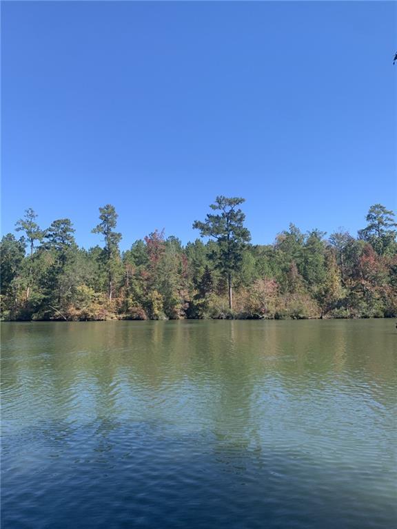 Property Photo: 0 Harbour Pointe GA 31087