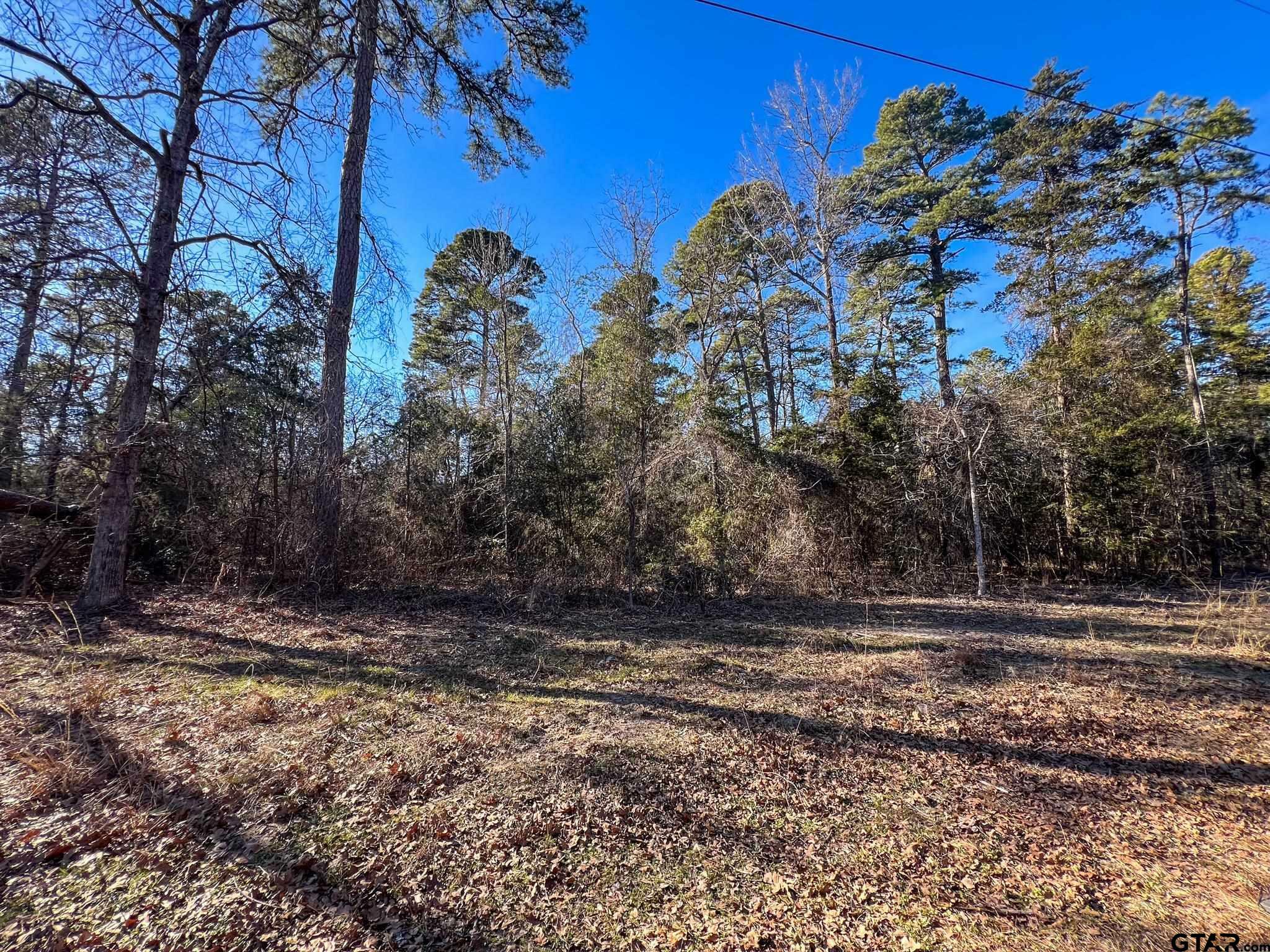 Property Photo:  Lot 336 King Bernard  TX 75480 