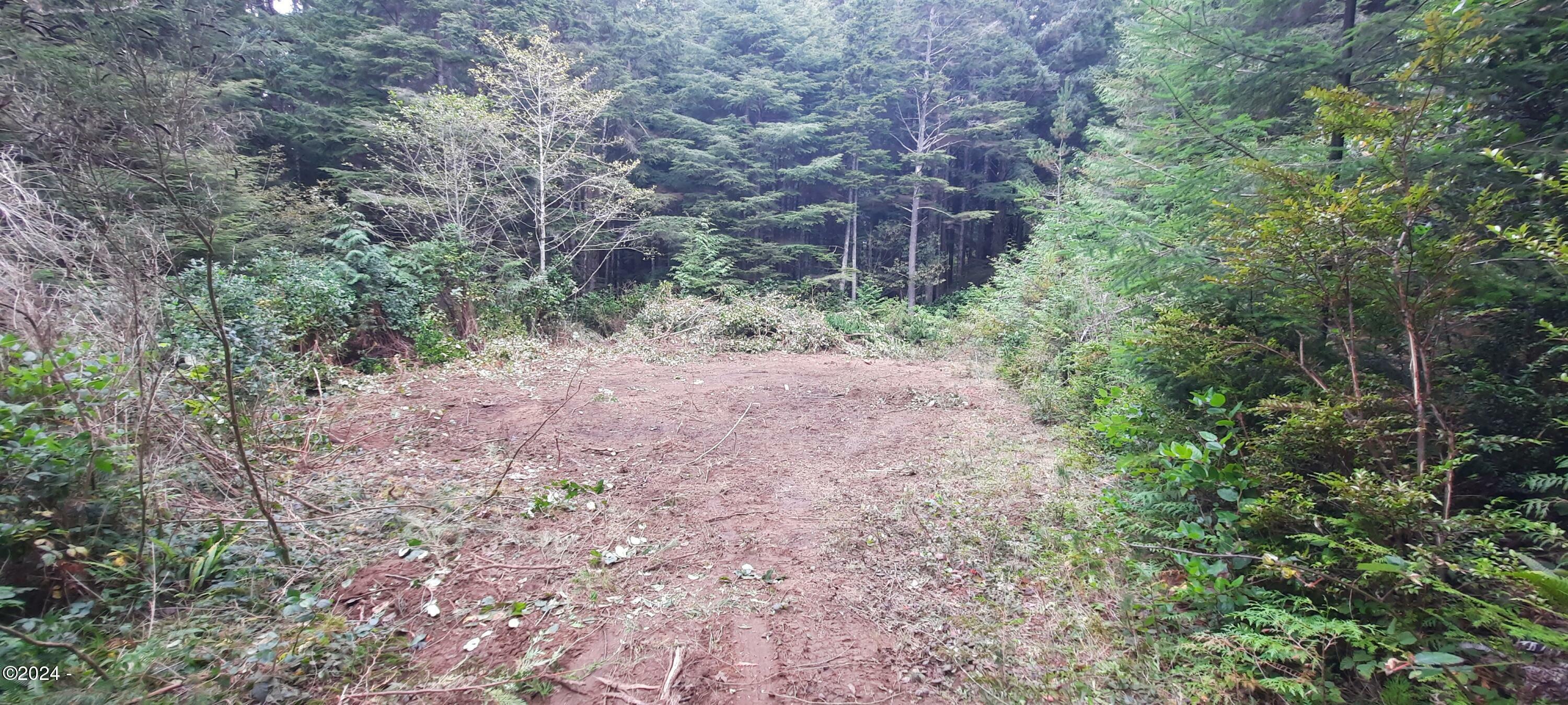Tl2600 Newton Place  Waldport OR 97394 photo