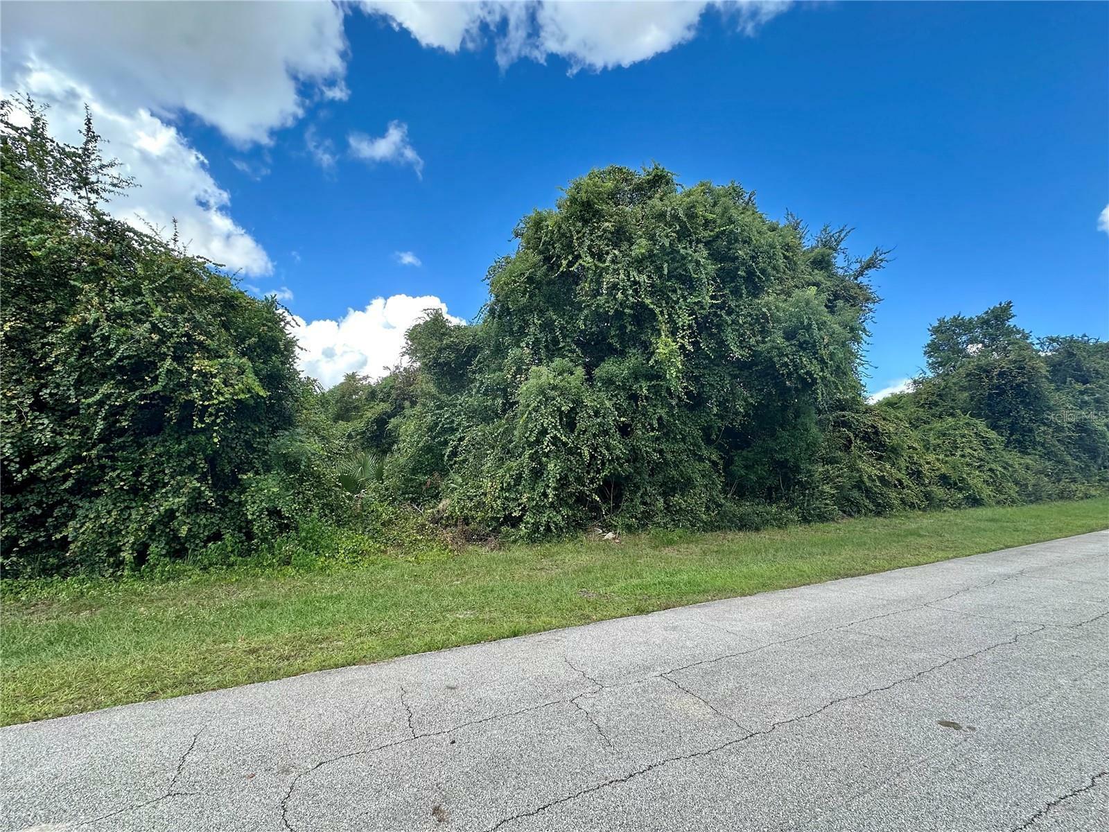 Property Photo:  Sullivan Street  FL 32725 