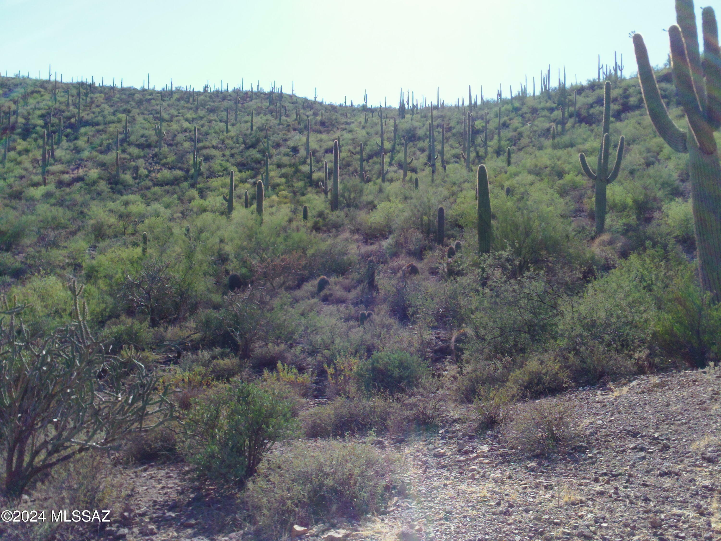 Property Photo:  4945 W Crestview Drive Lot 2  AZ 85745 