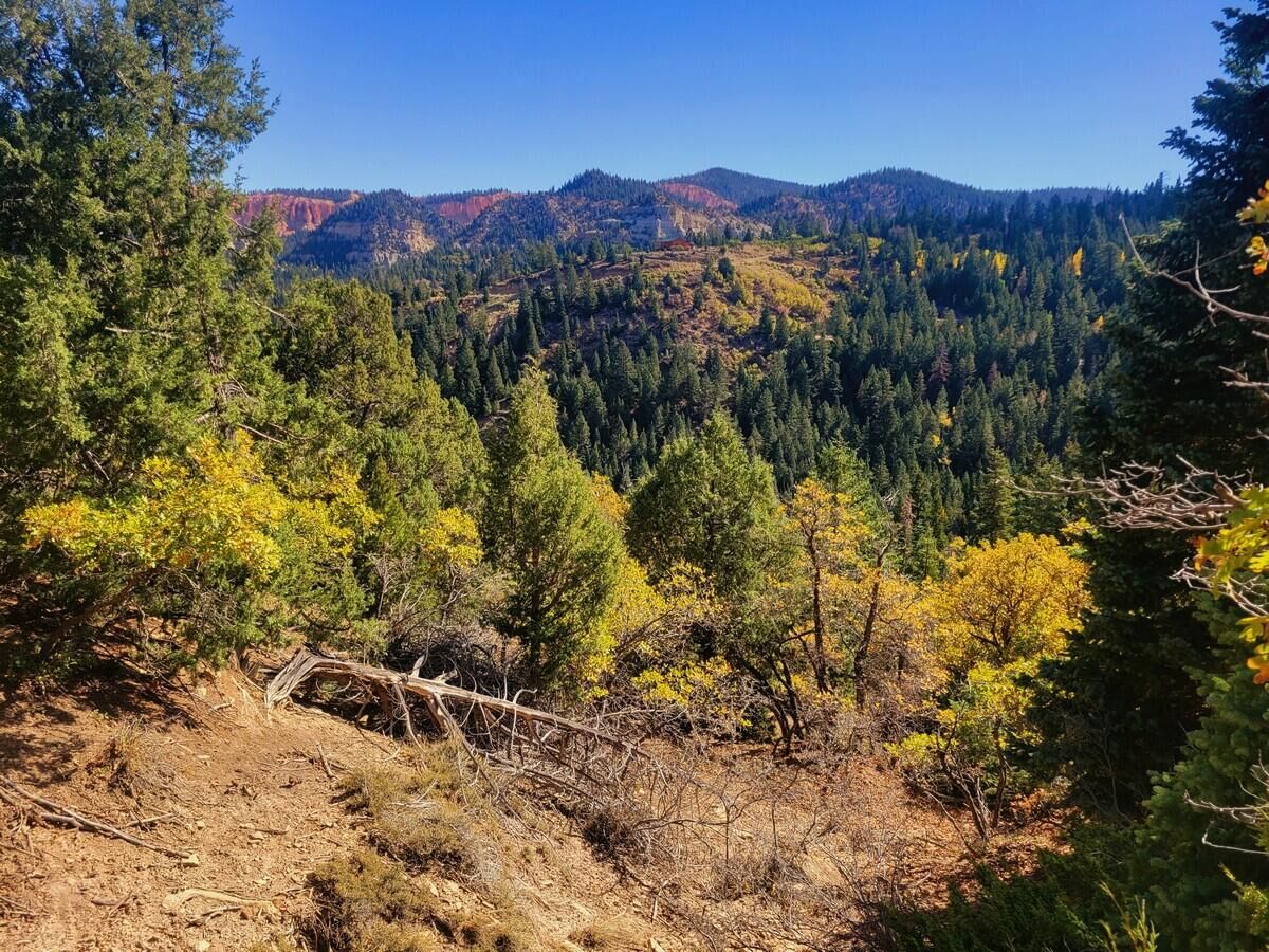 Property Photo:  Lot 22 Bonnie Green Dr  UT 84762