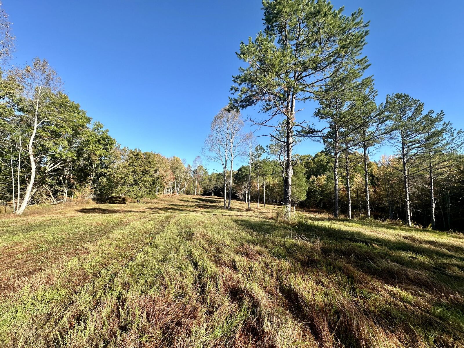 Property Photo:  424-D W 577 Highway Tract 6  KY 40962 