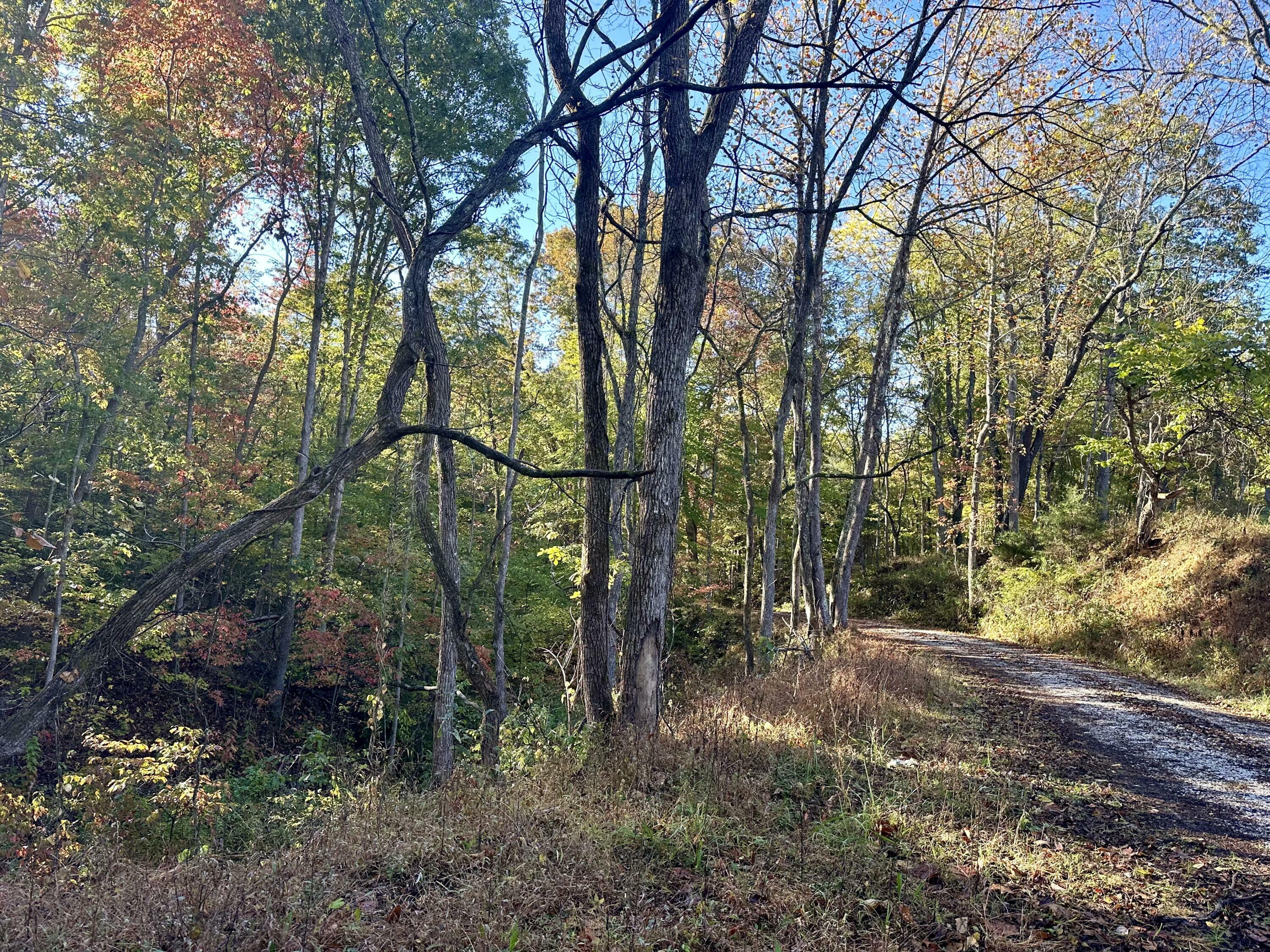 Property Photo:  424-A West 577 Highway Tract 2  KY 40962 