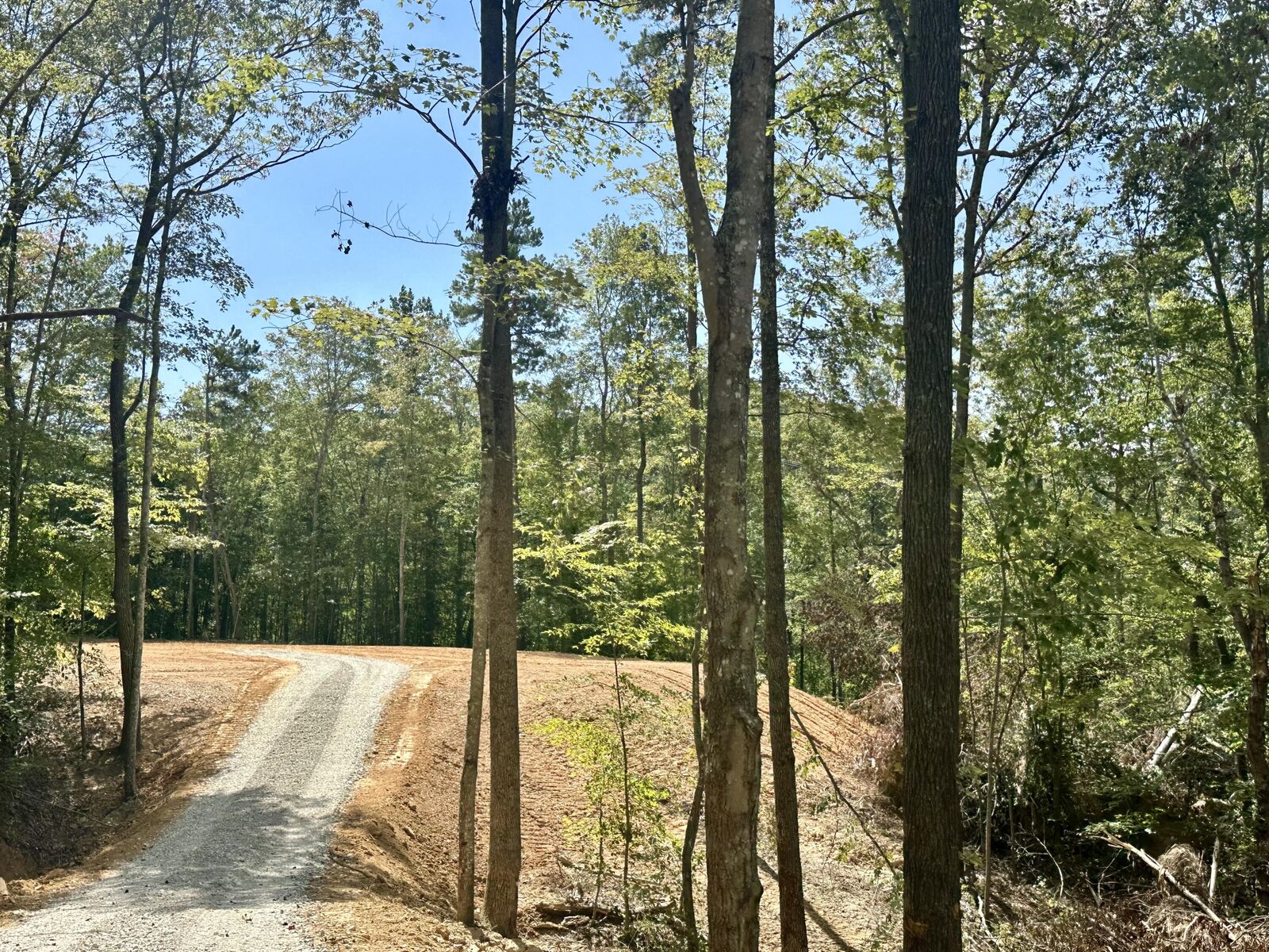 Property Photo:  424    Tract 2 W 577 Highway Tract 2  KY 40962 