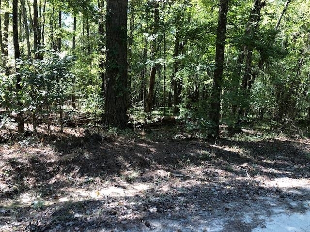 Property Photo:  0 Callaway Road  GA 30642 