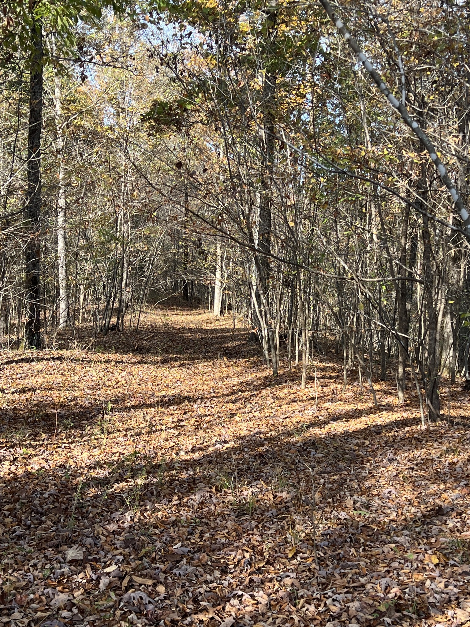 Property Photo: 1 Cane Creek Road TN 38462