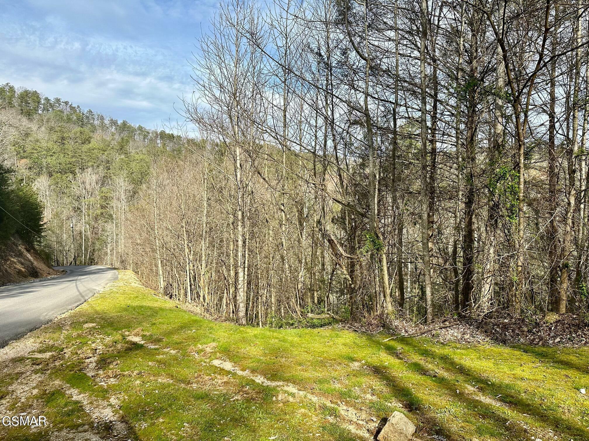 Property Photo:  Lot 1 Mountain Dreams Way  TN 37862 