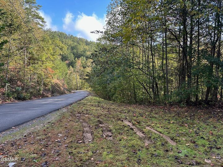 Property Photo: Lot 1 Mountain Dreams Way TN 37862