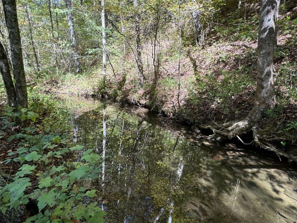 Property Photo:  0 Off Hwy 52 East  GA 30534 