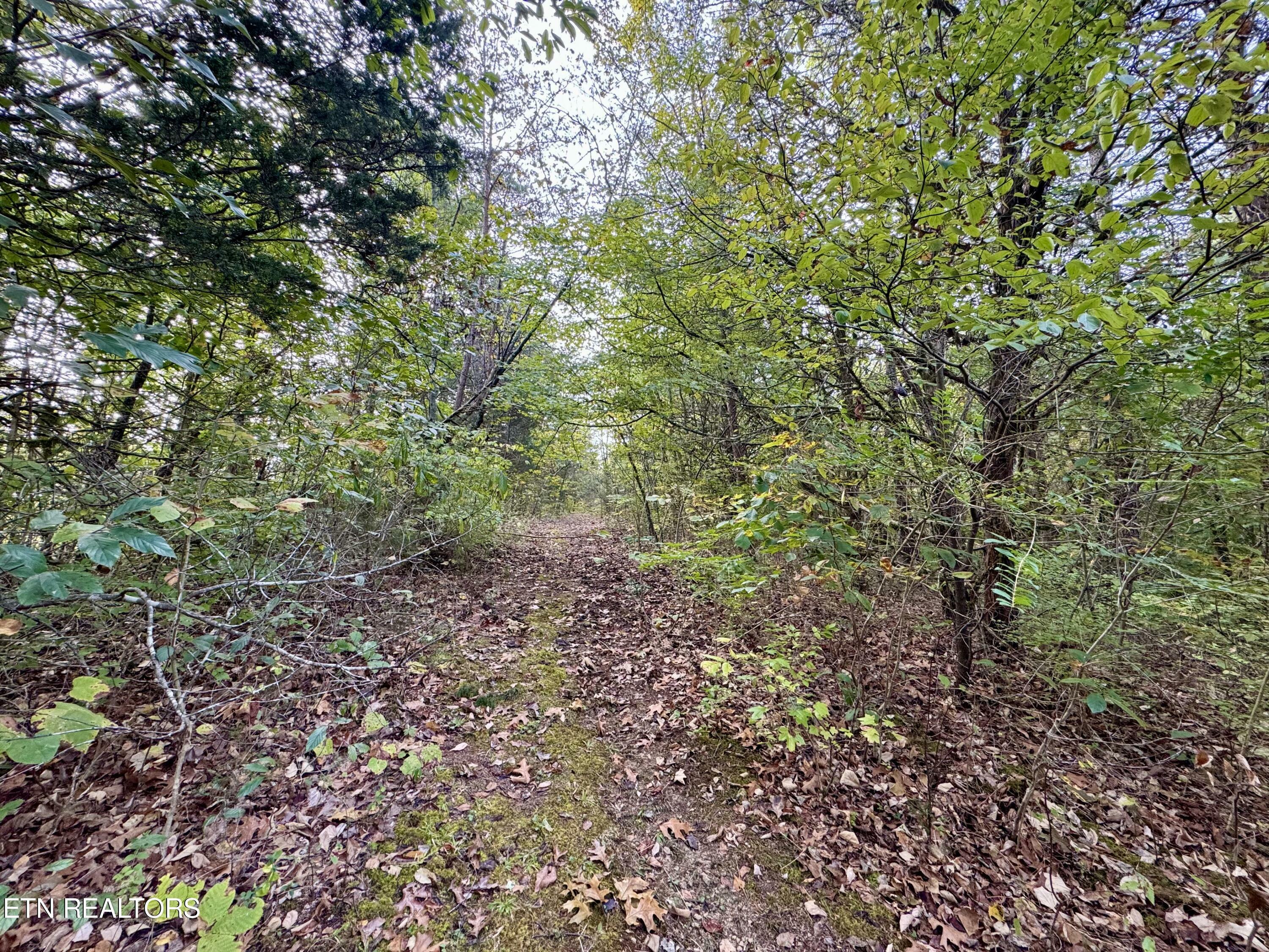 Property Photo:  Lot 18 Heatley Ln  TN 37862 