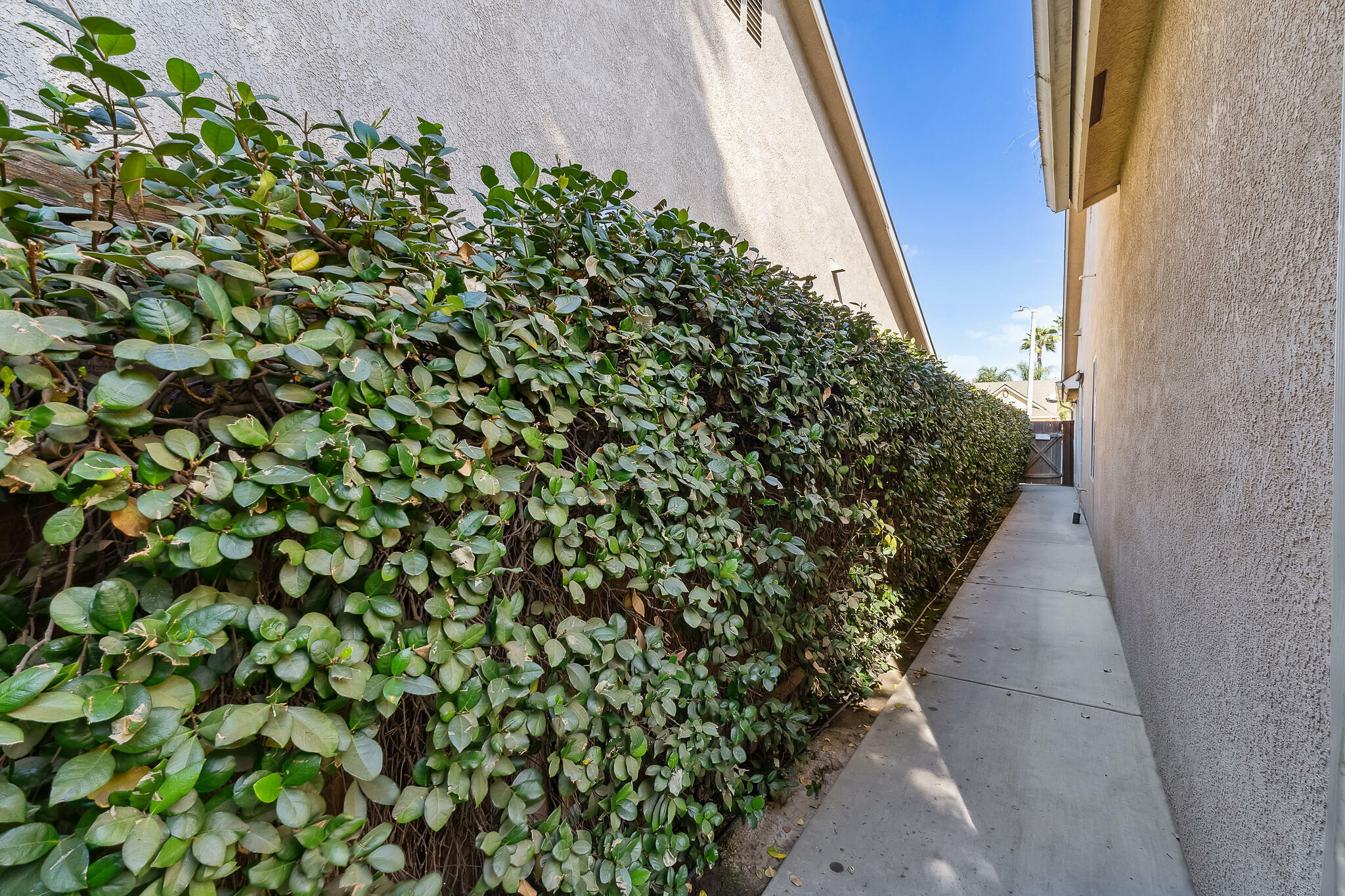 Property Photo:  6203 W Oak Avenue  CA 93291 