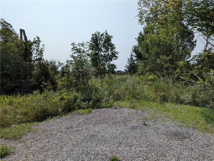 Property Photo:  156 Adair Rd  ON K0K 3G0 