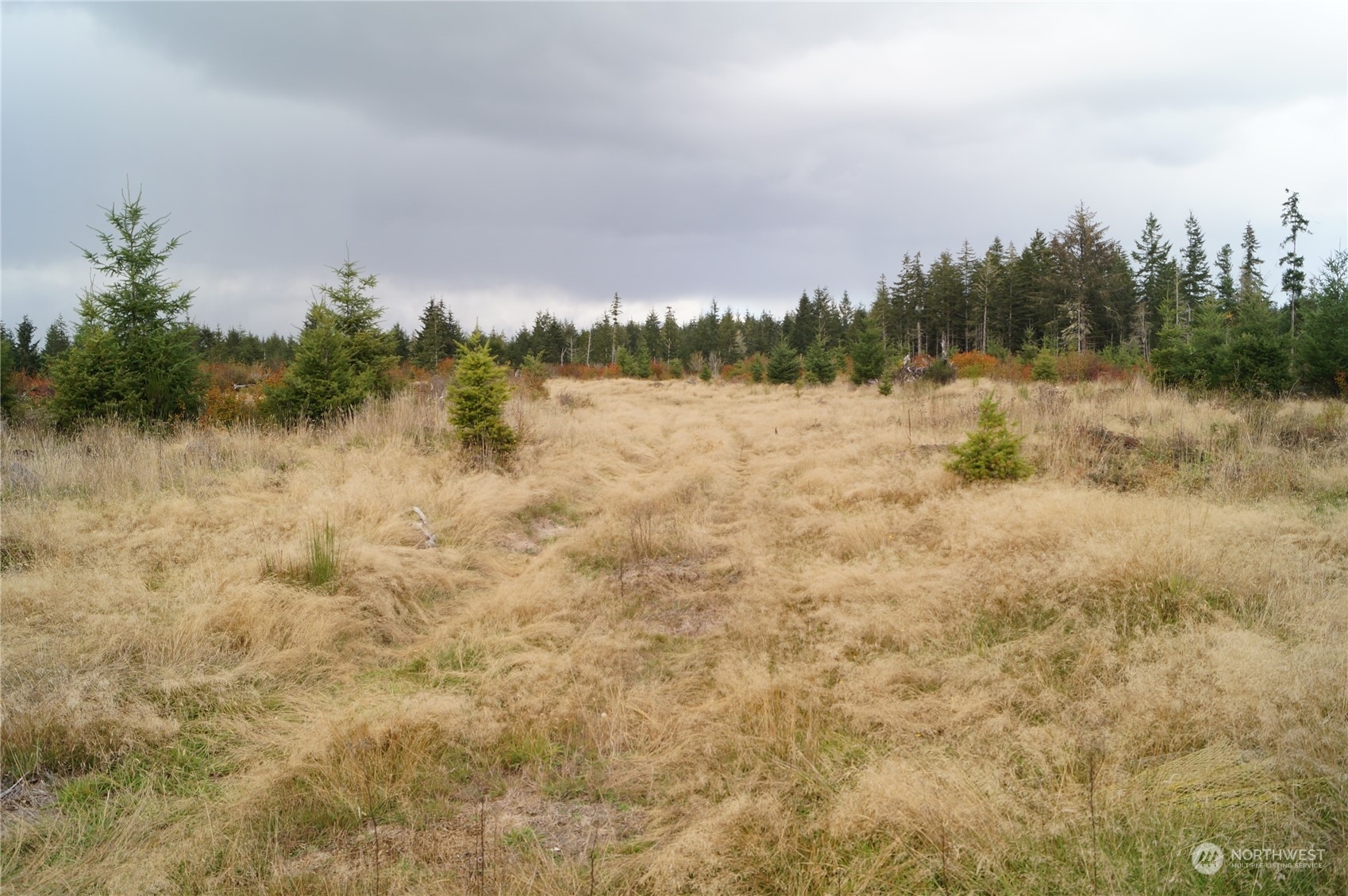 Property Photo:  0 Off Of W Ford Loop Road  WA 98541 